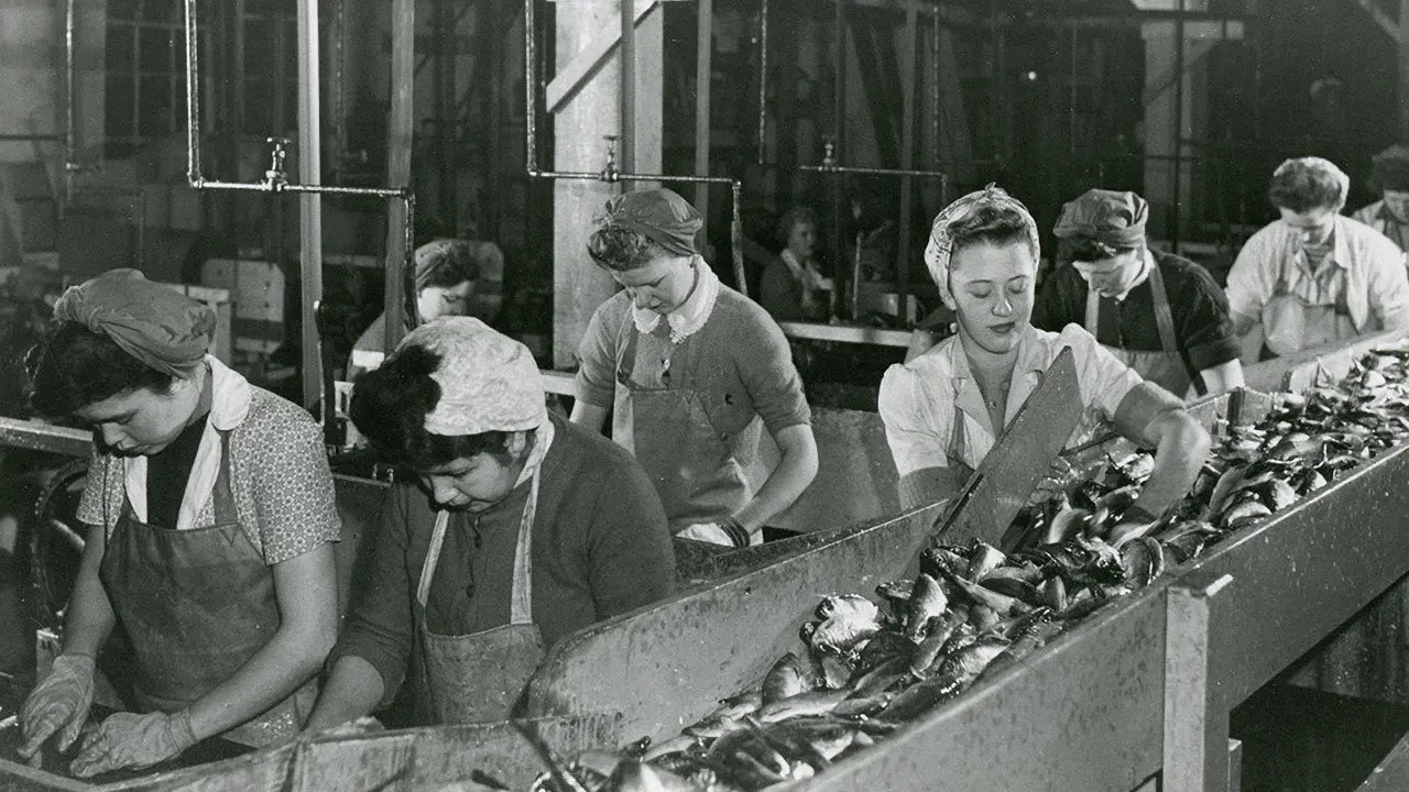 Working People: A History of Labour in British Columbia backdrop