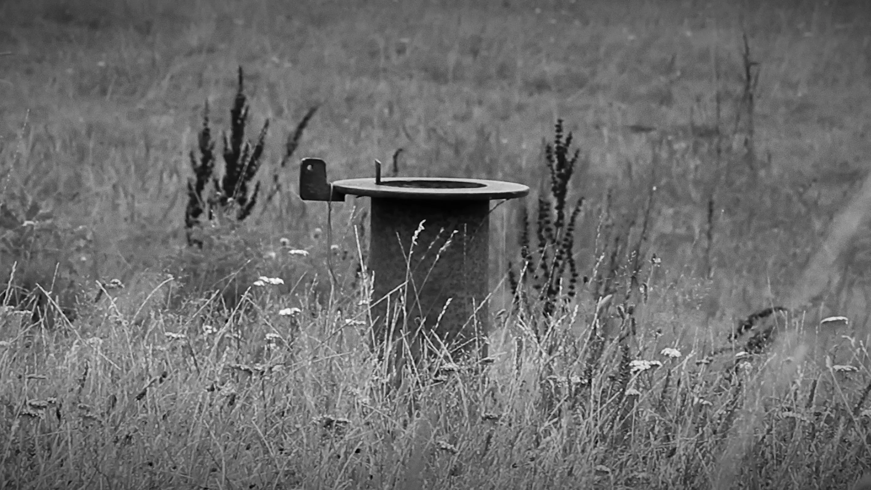 Ambient Dread, Cosmic Indifference backdrop