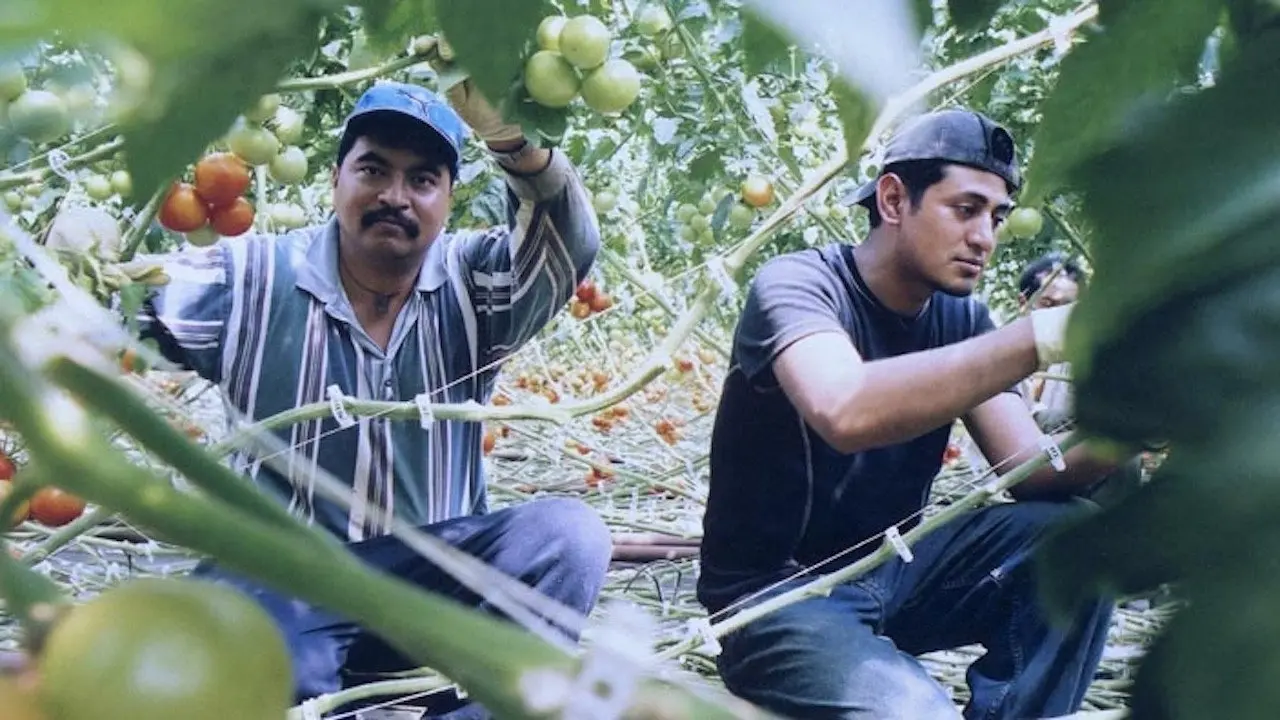 El Contrato backdrop