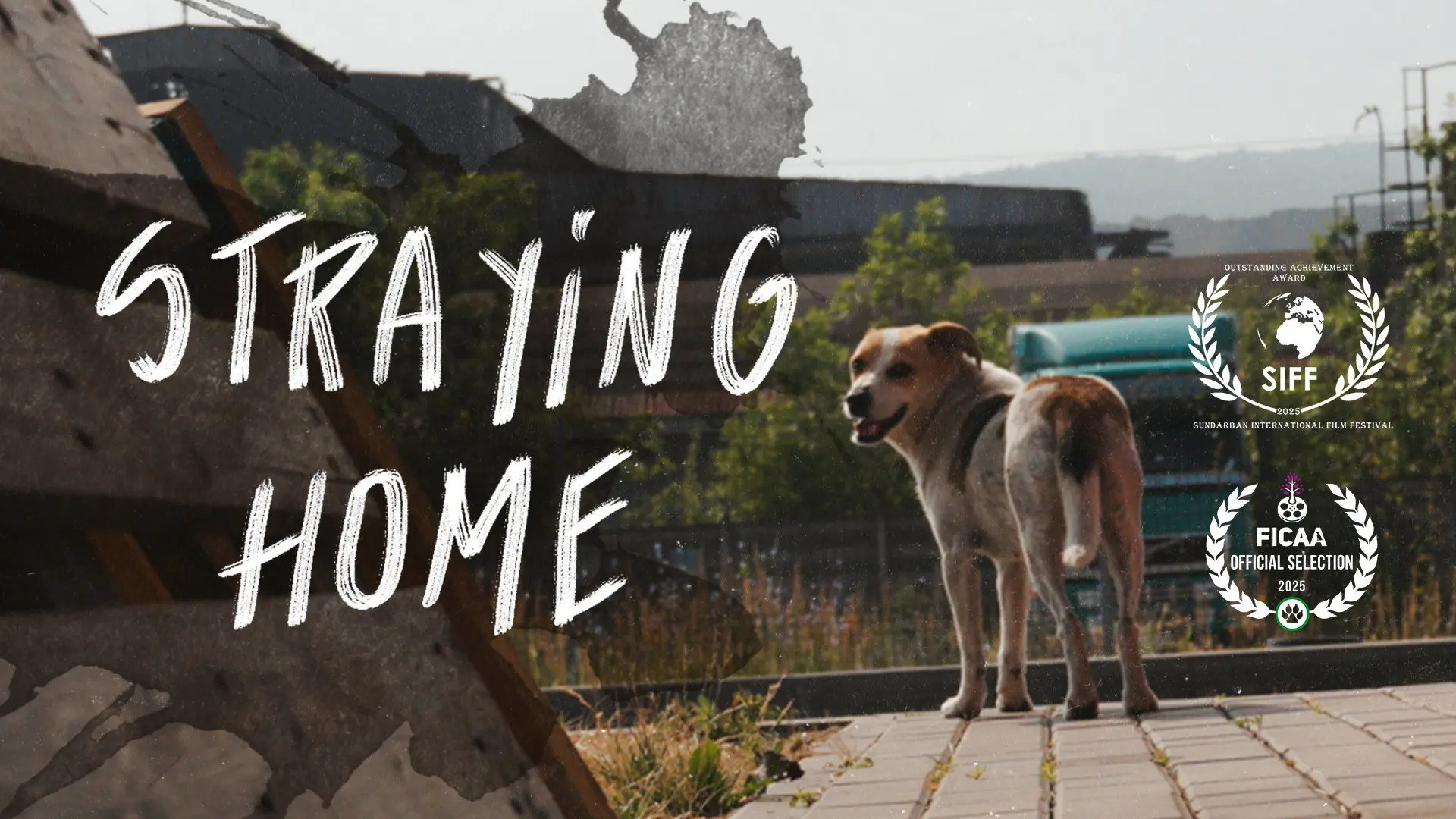 Straying home backdrop