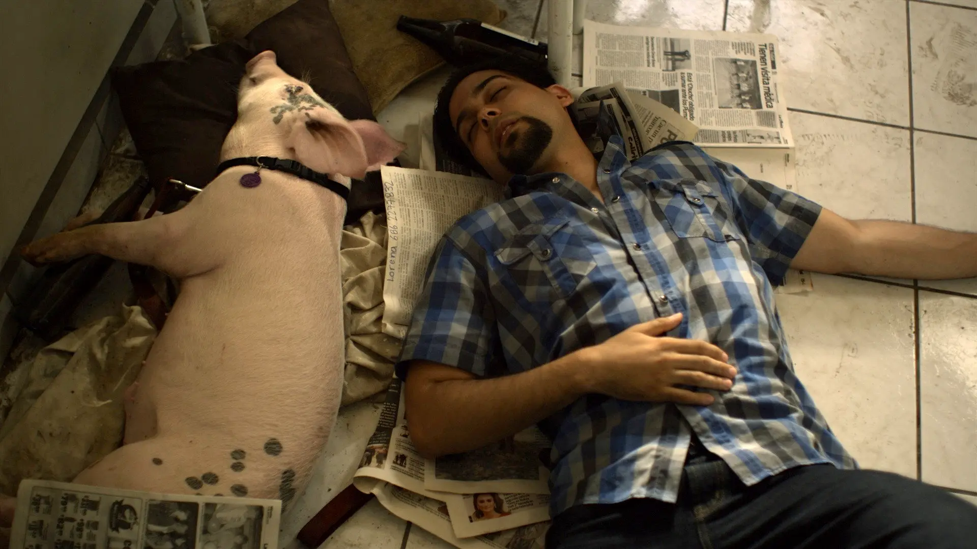 Death Strokes backdrop