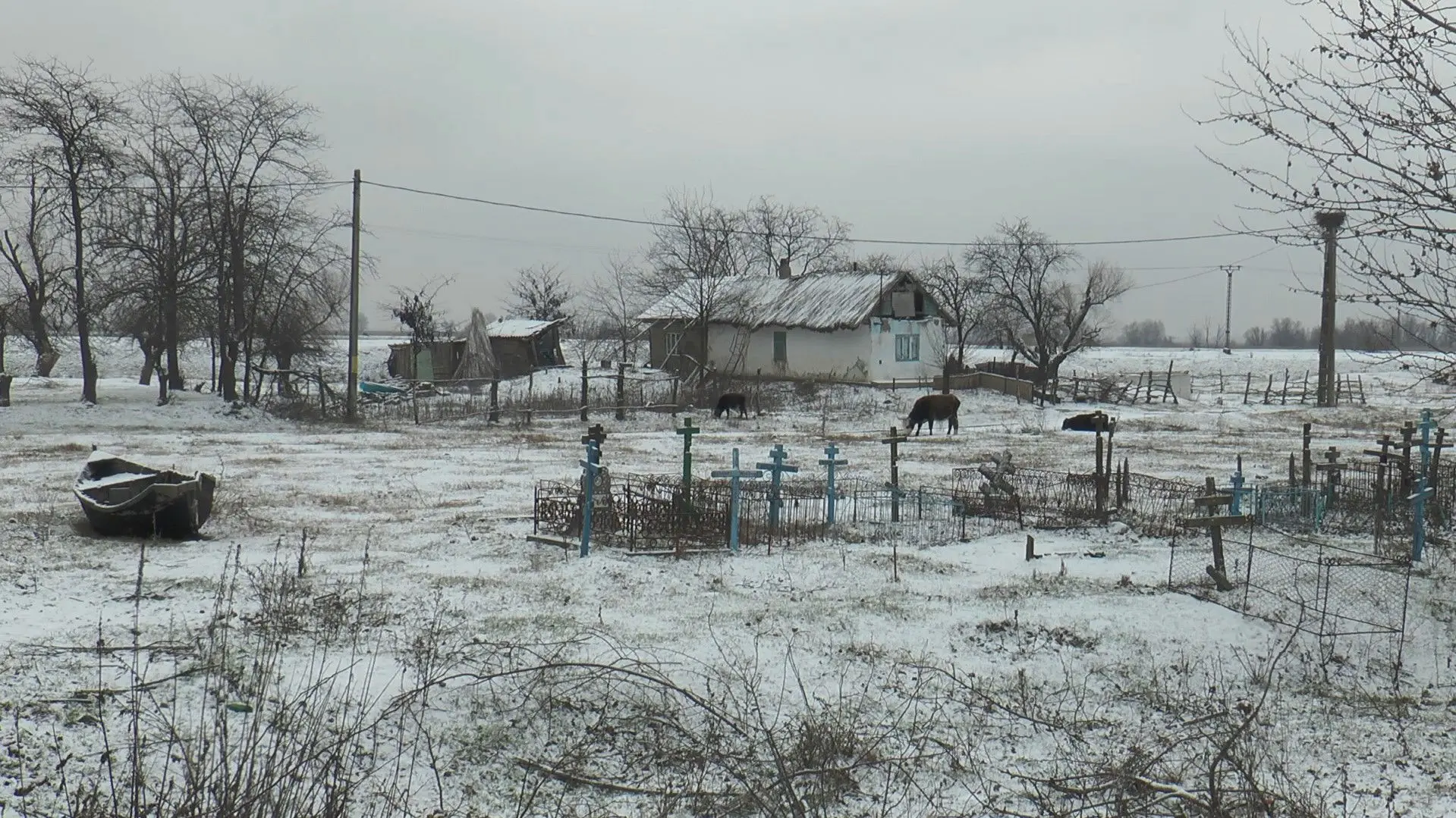Swamp Dialogues backdrop
