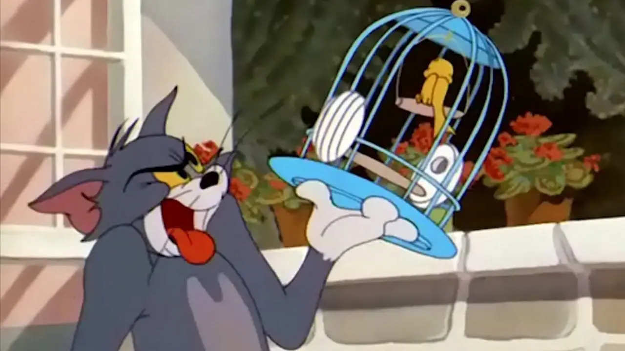 The Flying Cat backdrop