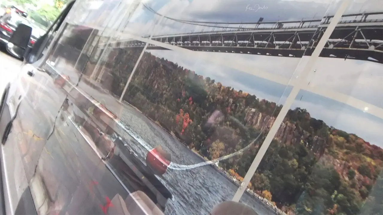 Foliage in Moving Car Window backdrop