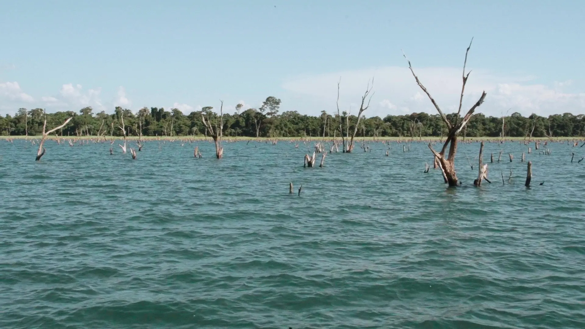 Yesterday I Remember My Mom backdrop