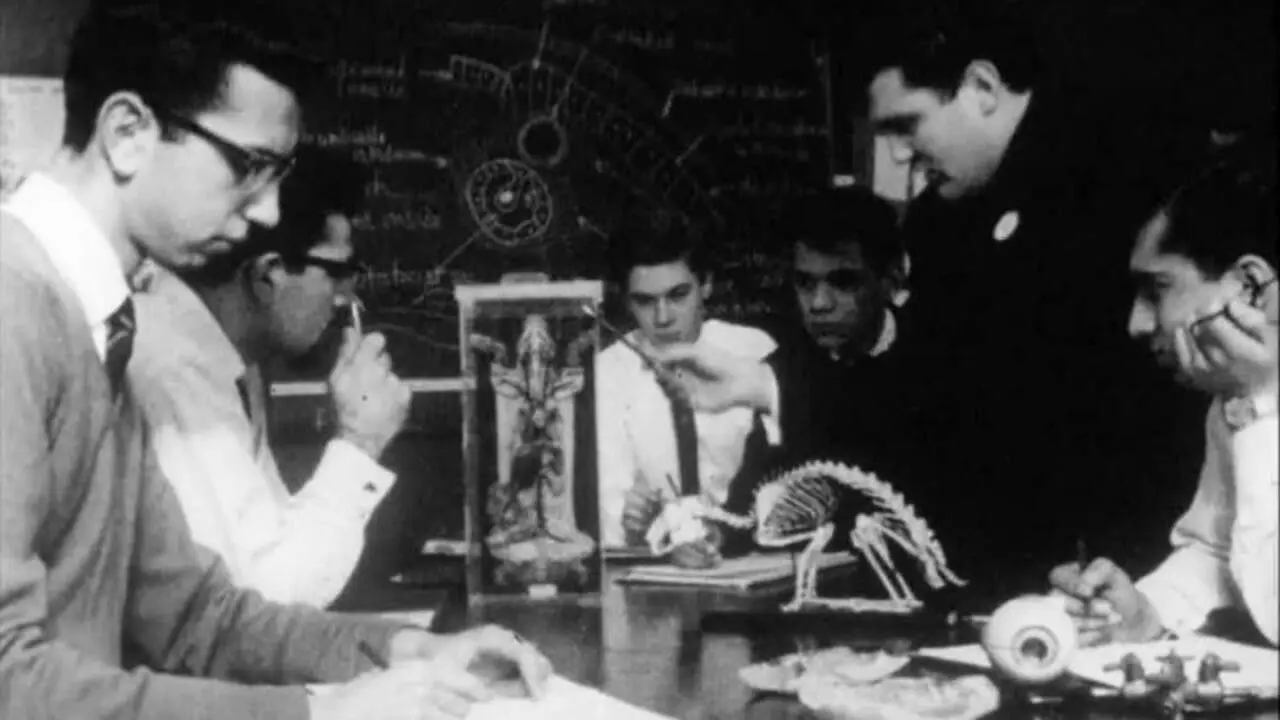 Comprehensive School backdrop