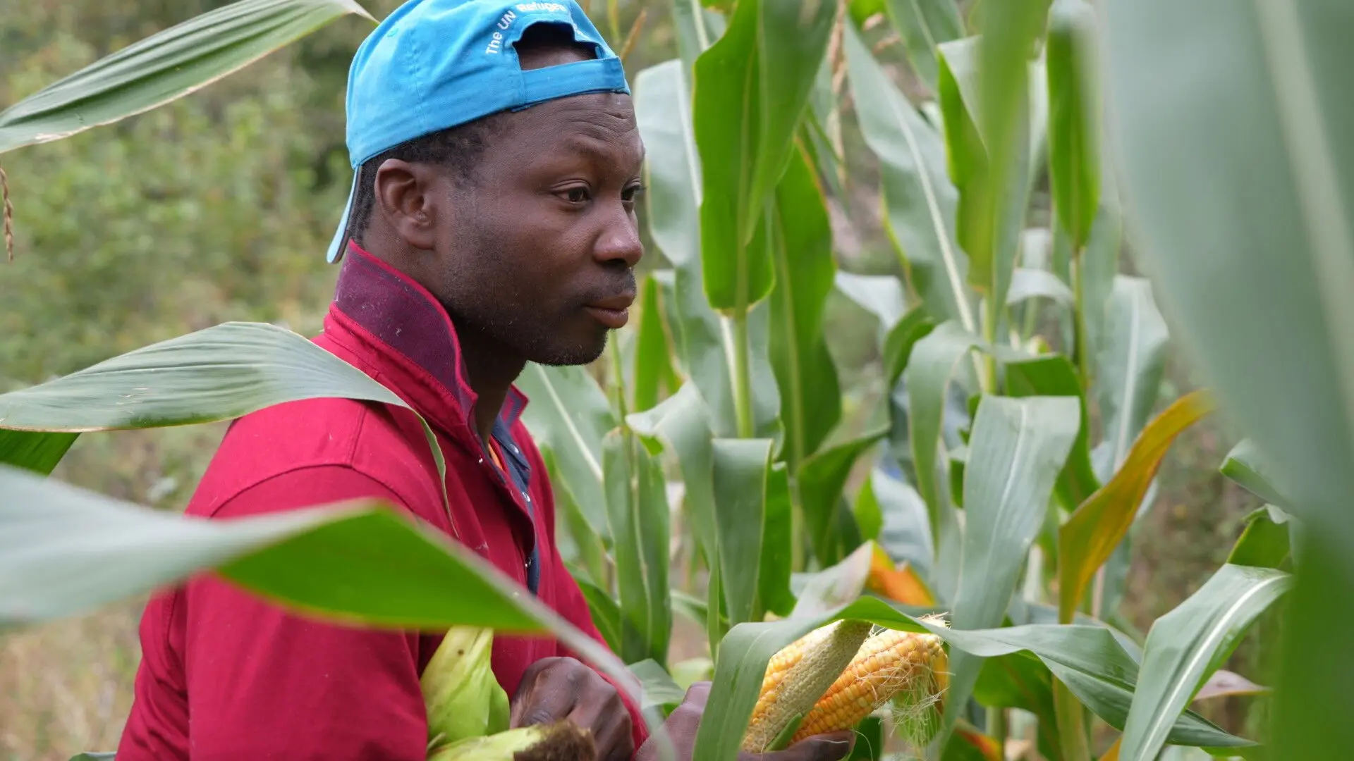 Silven from Teghut backdrop
