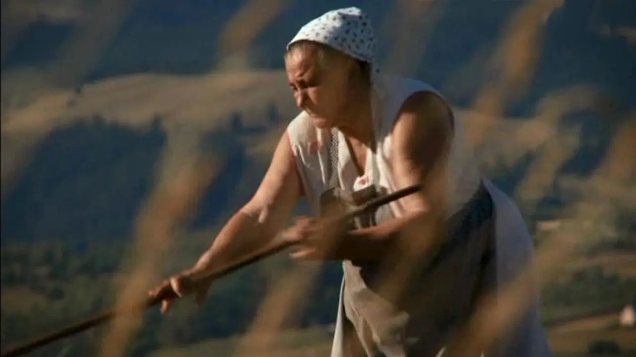 Stream of Love backdrop