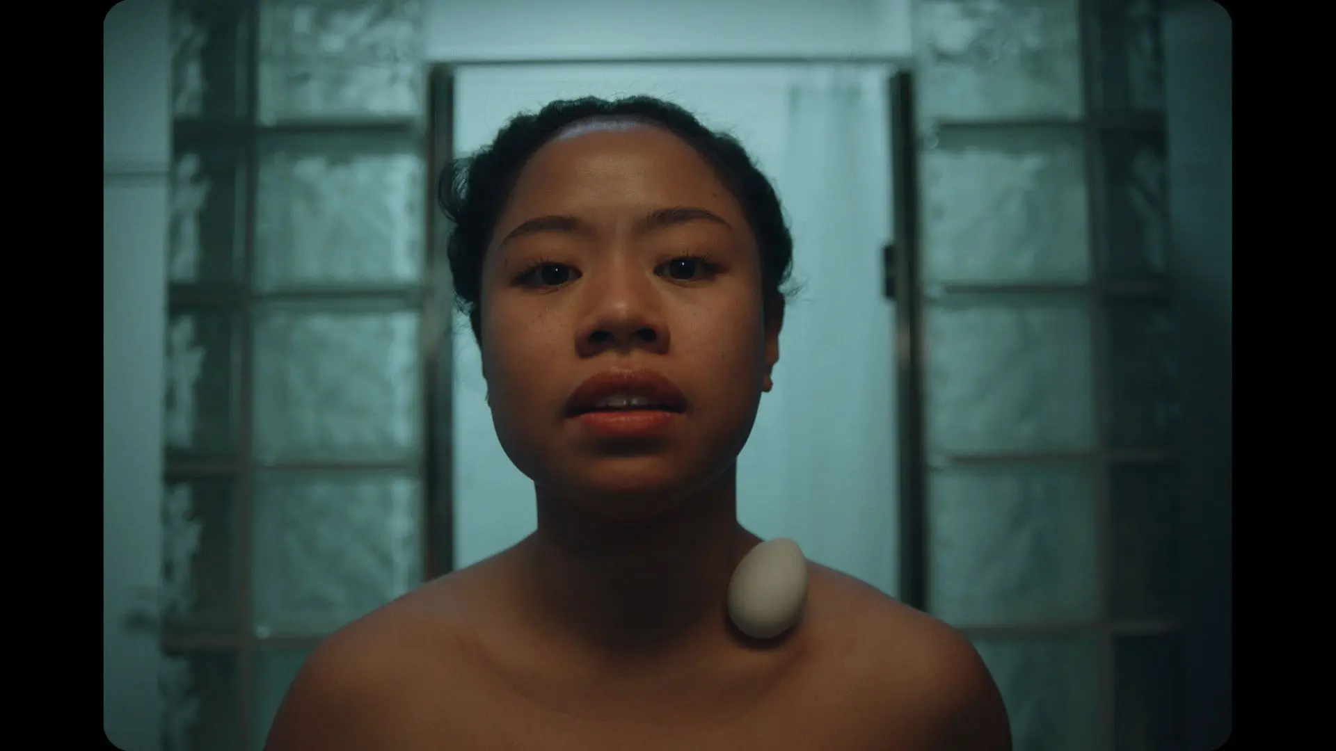 Shallots & Garlic backdrop