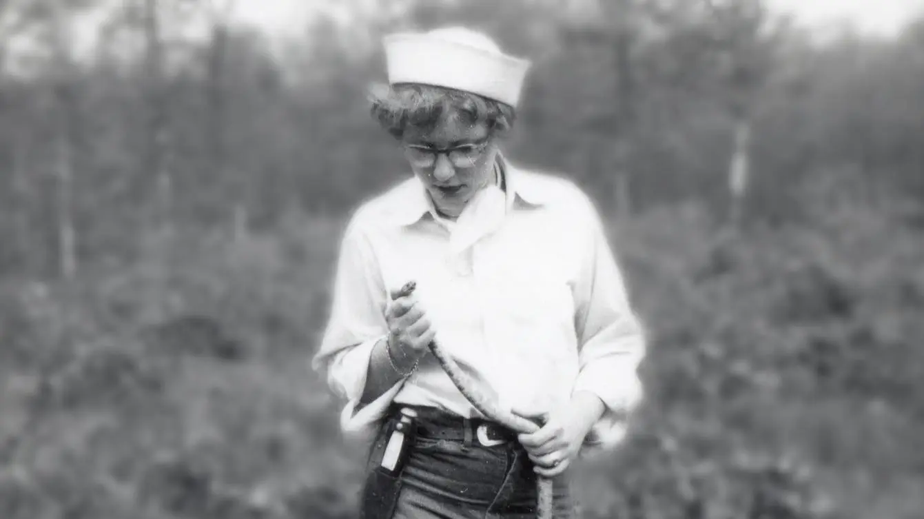 Joanne Martin: A Life in Miniature backdrop
