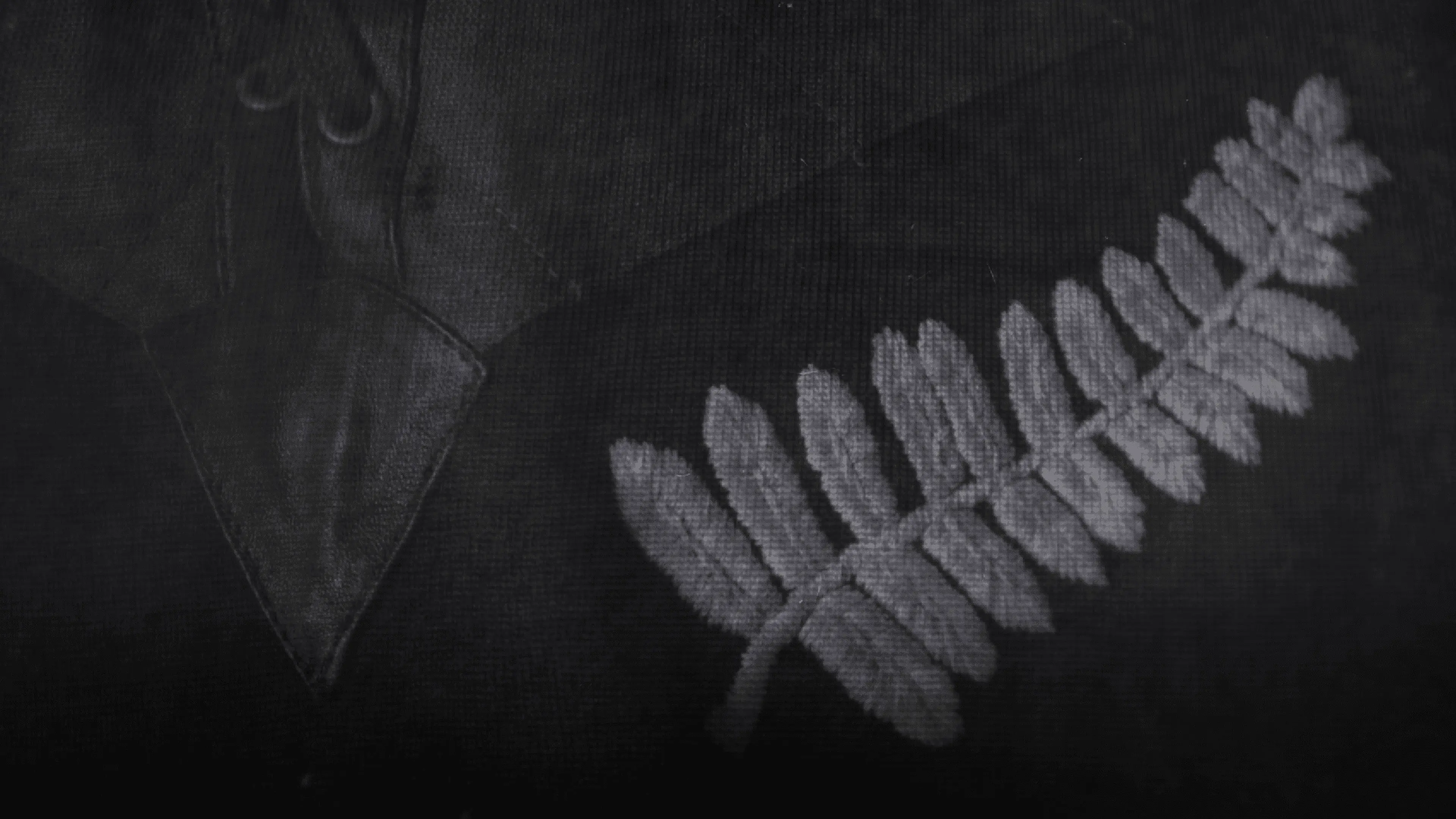 All Blacks at War backdrop