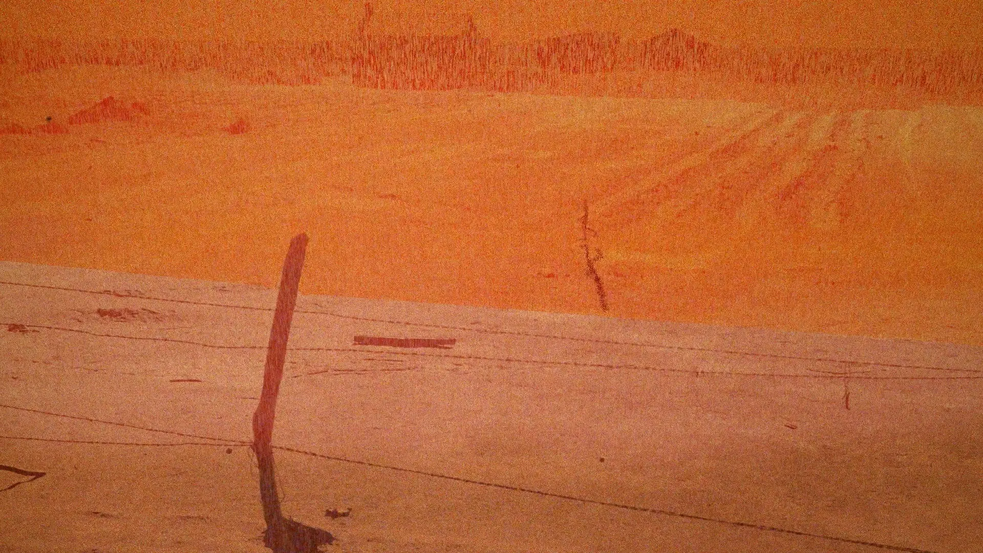 A Robot's Guide to 31st Century Earth backdrop