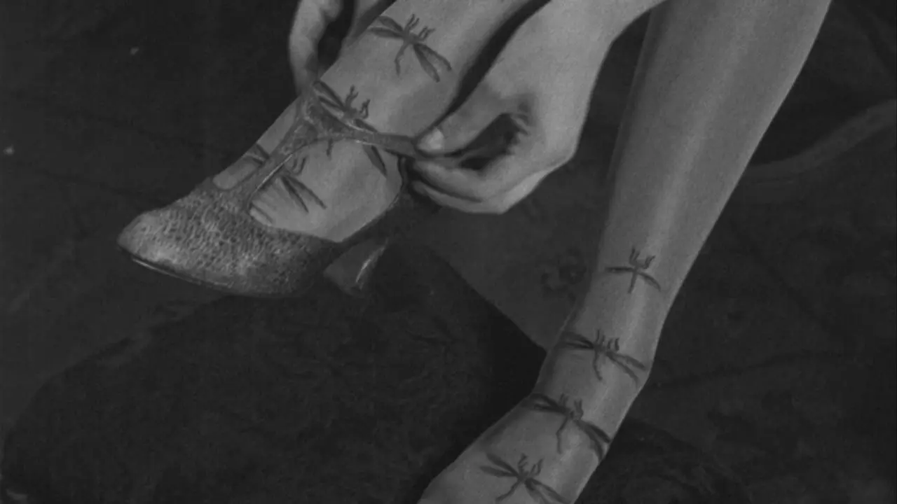 Mode bas stockings backdrop