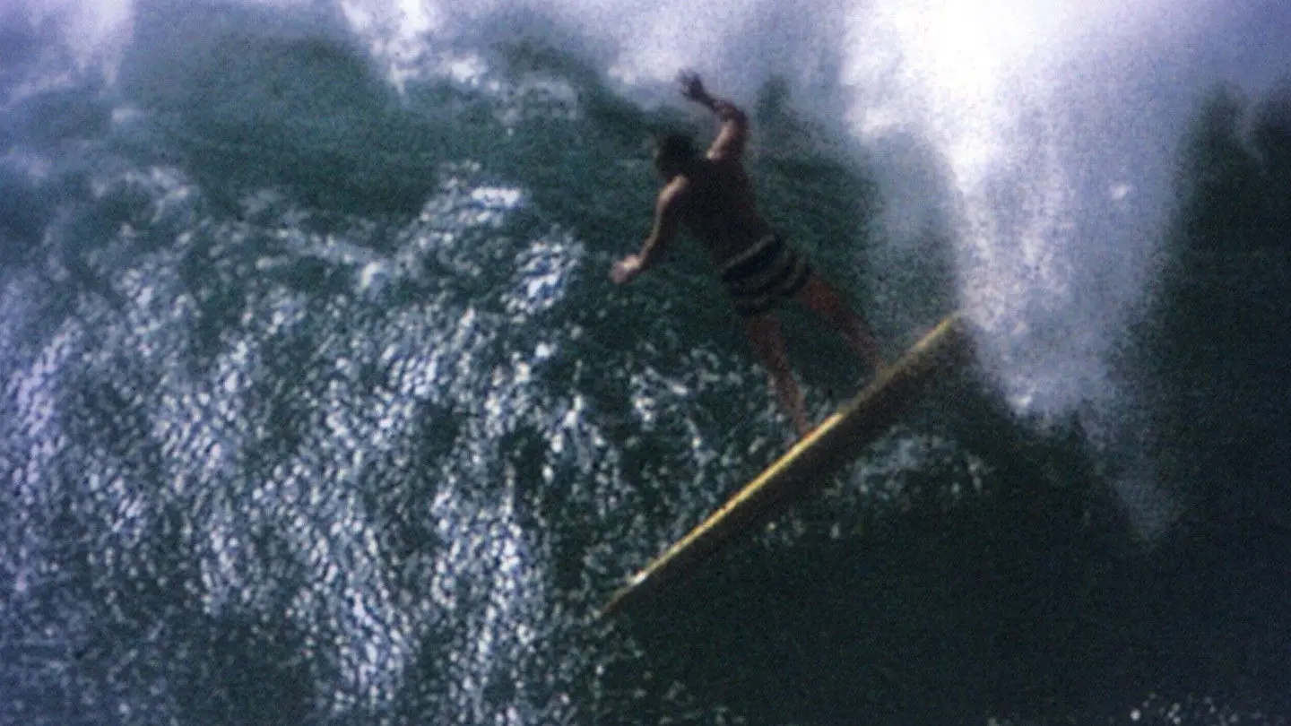 Water-Logged backdrop