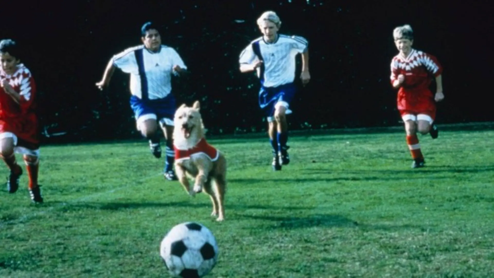 Soccer Dog: The Movie backdrop