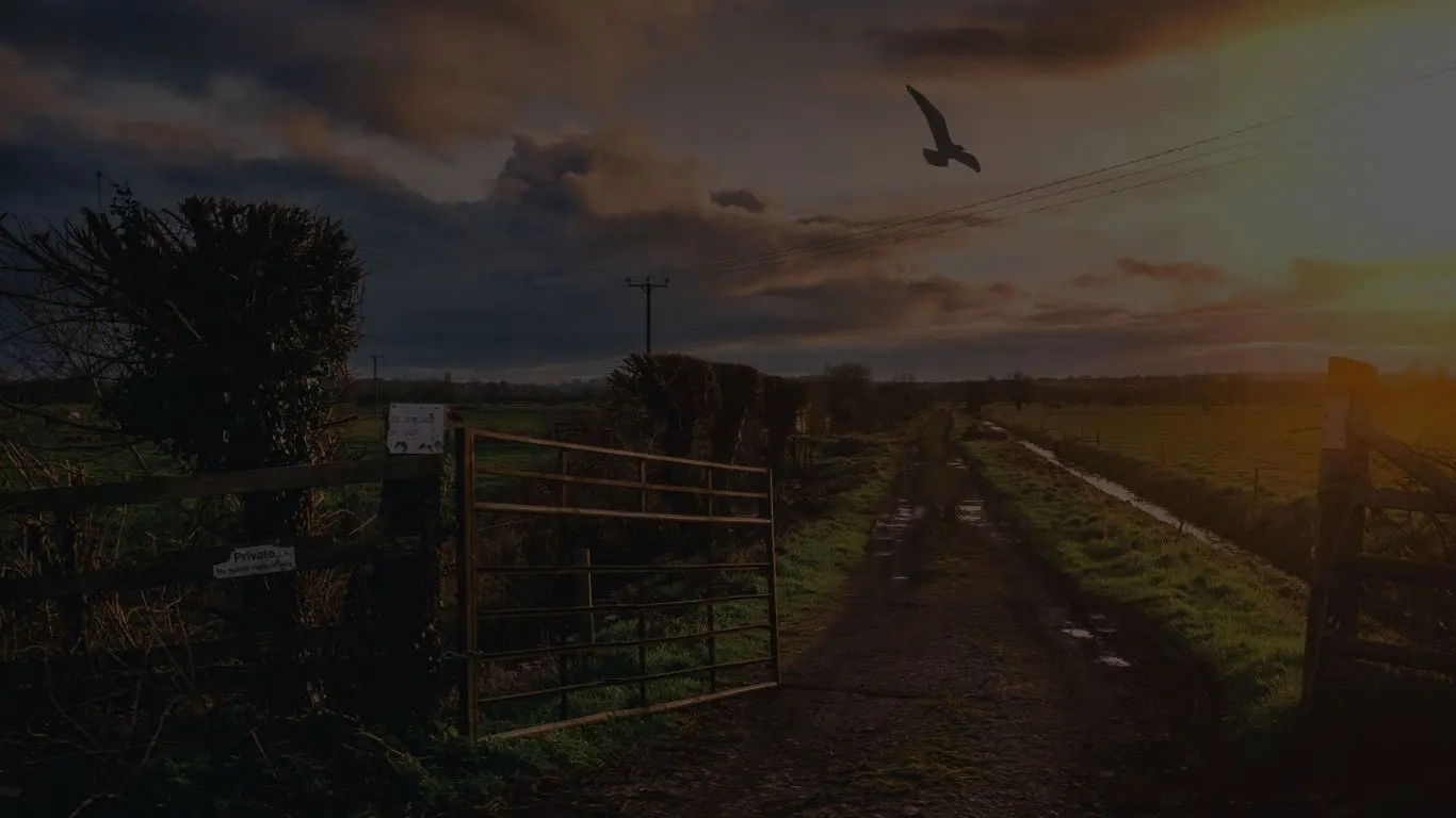 Harvested 3 backdrop