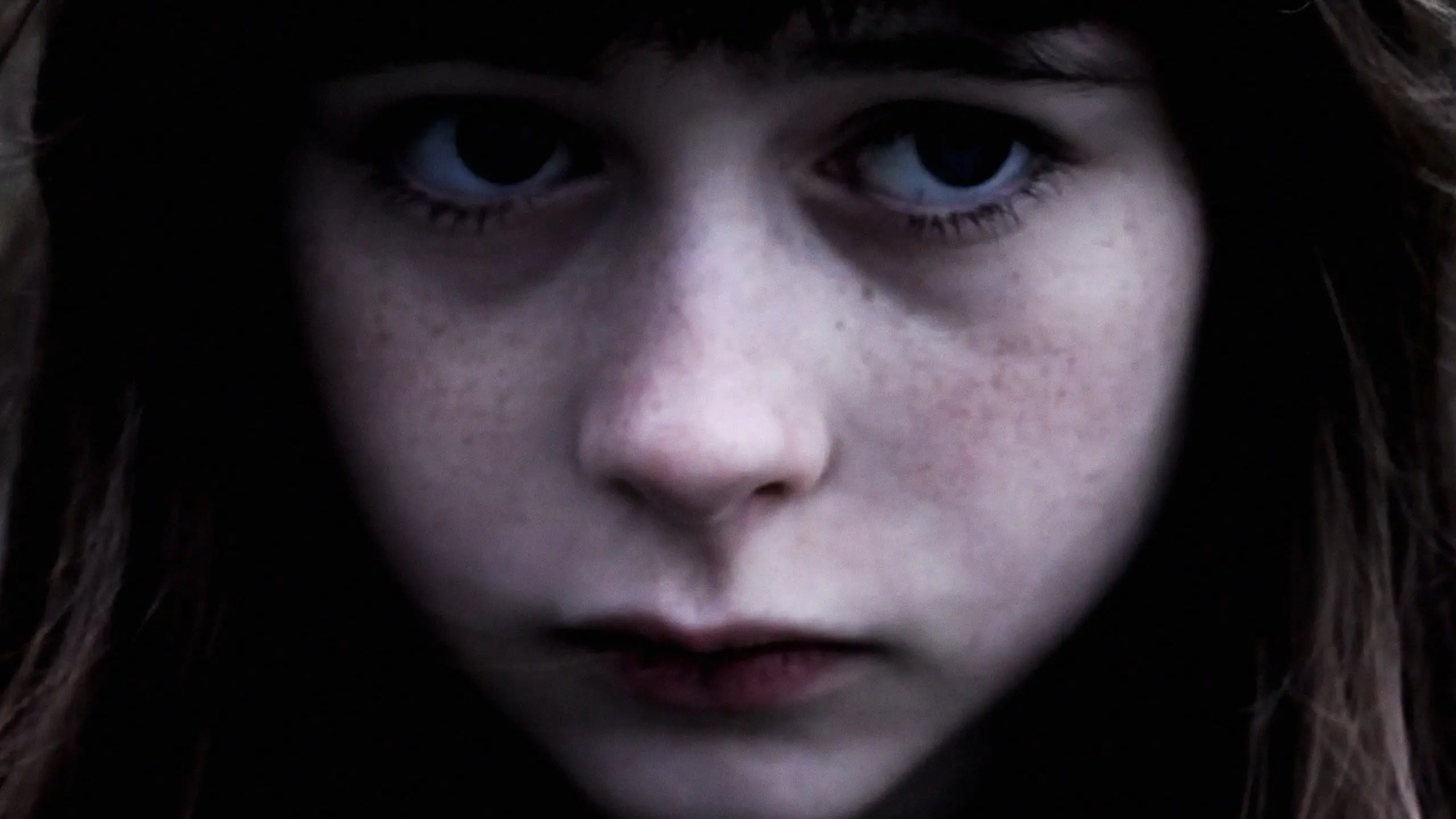 Pigeons Should Fly Freely In the Sky backdrop