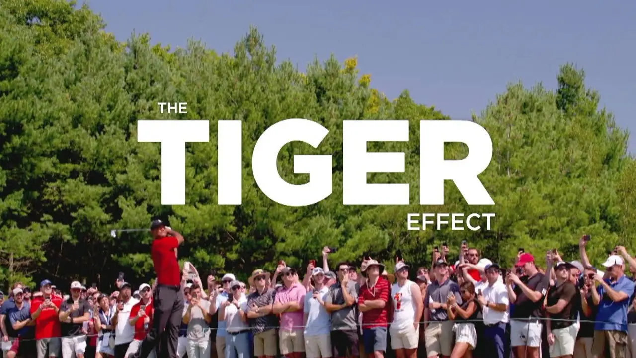 The Tiger Effect backdrop