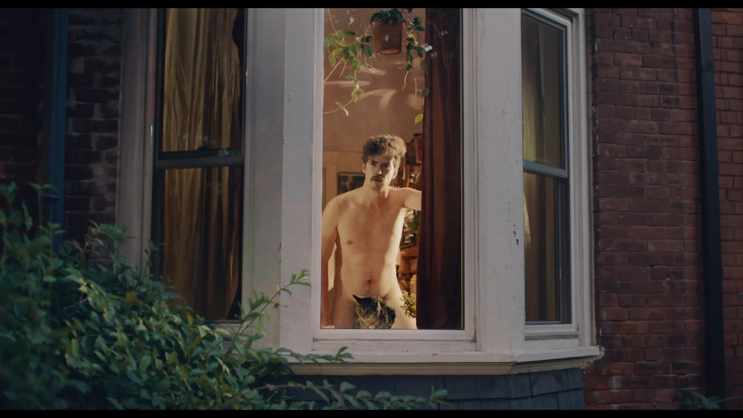 Monkey-Love, Please Hold backdrop