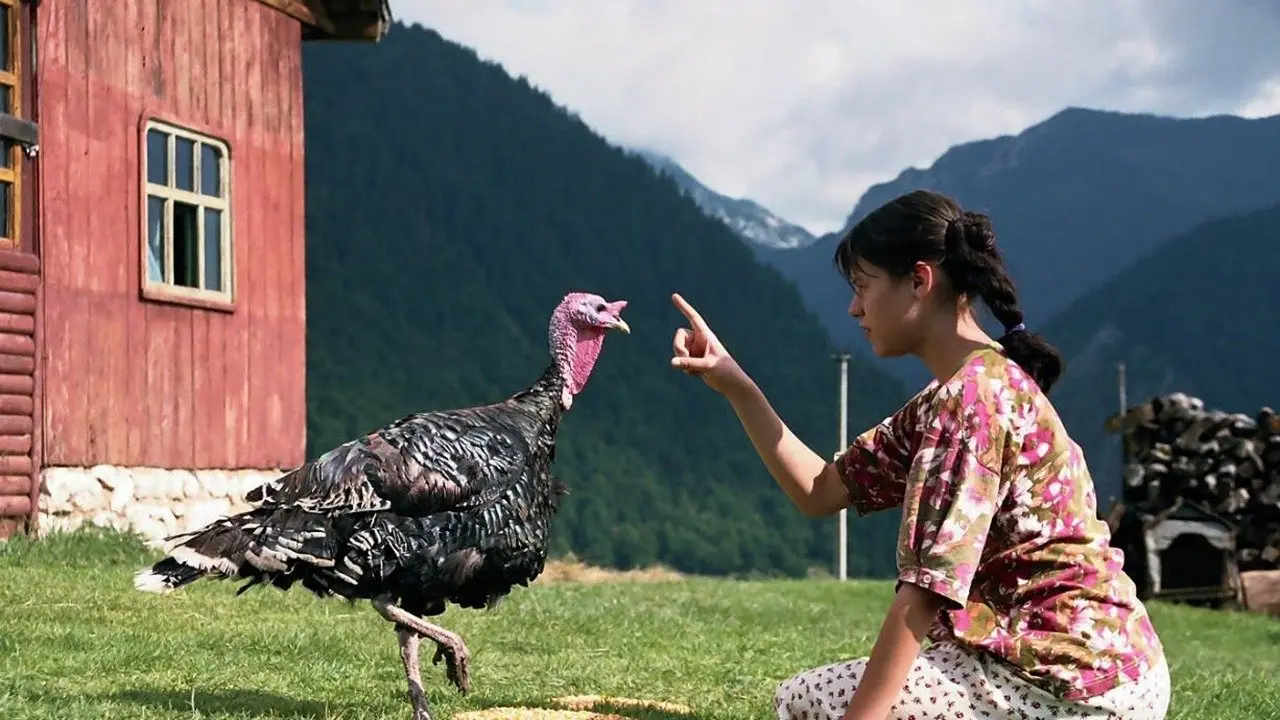 Lost and Found backdrop