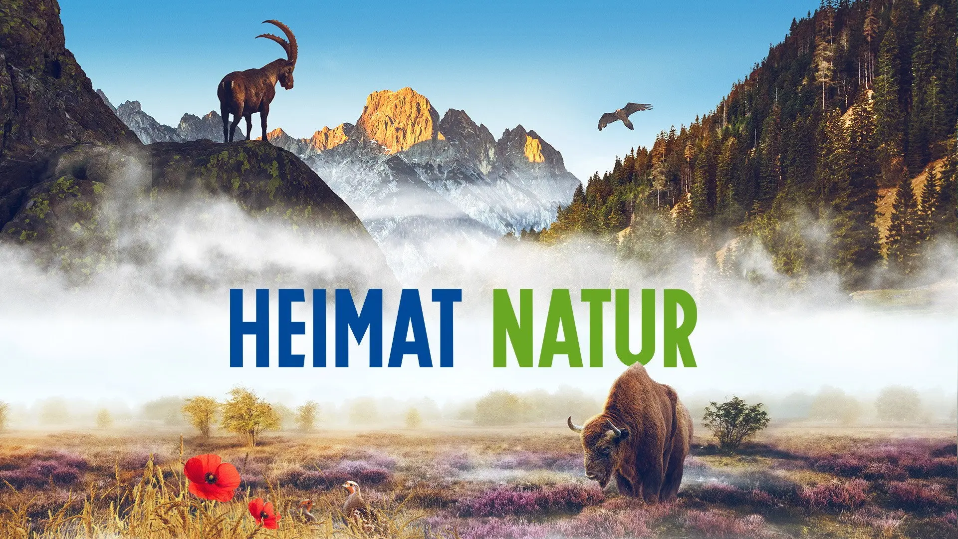 Homeland Nature backdrop