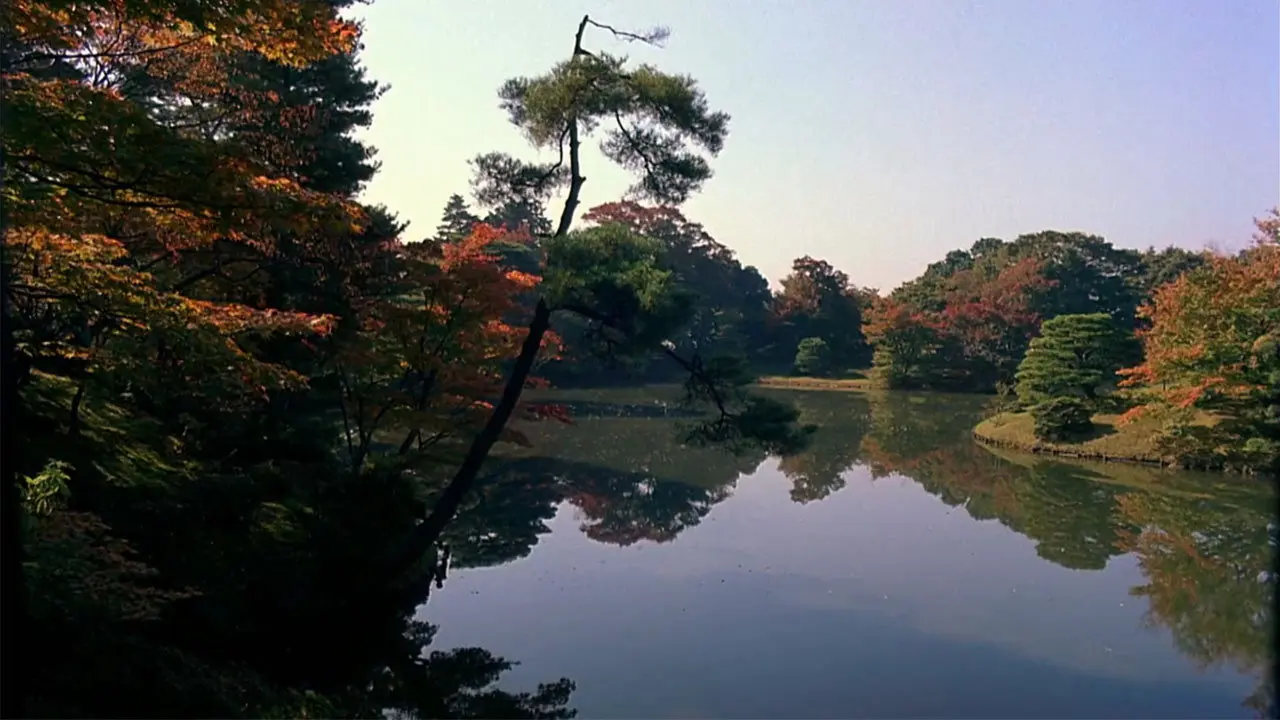 Dream Window: Reflections on the Japanese Garden backdrop