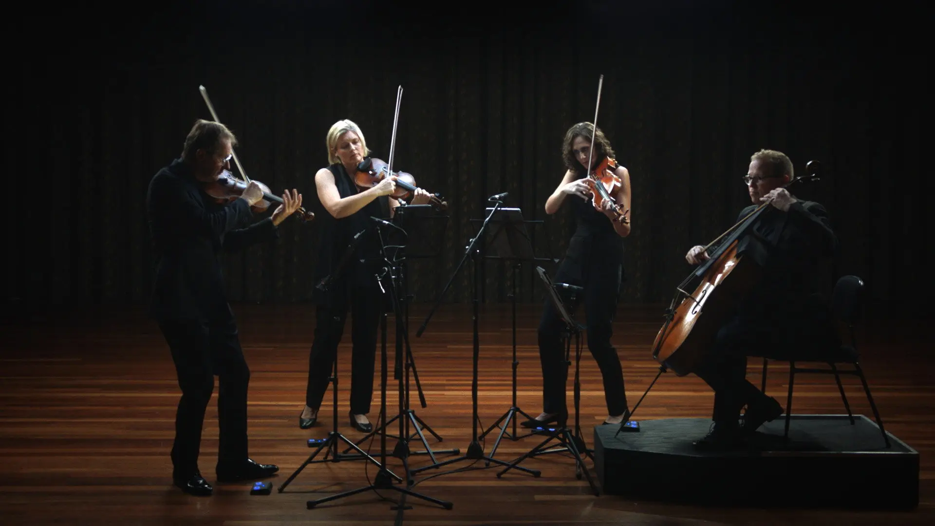 Anatomy of a String Quartet backdrop