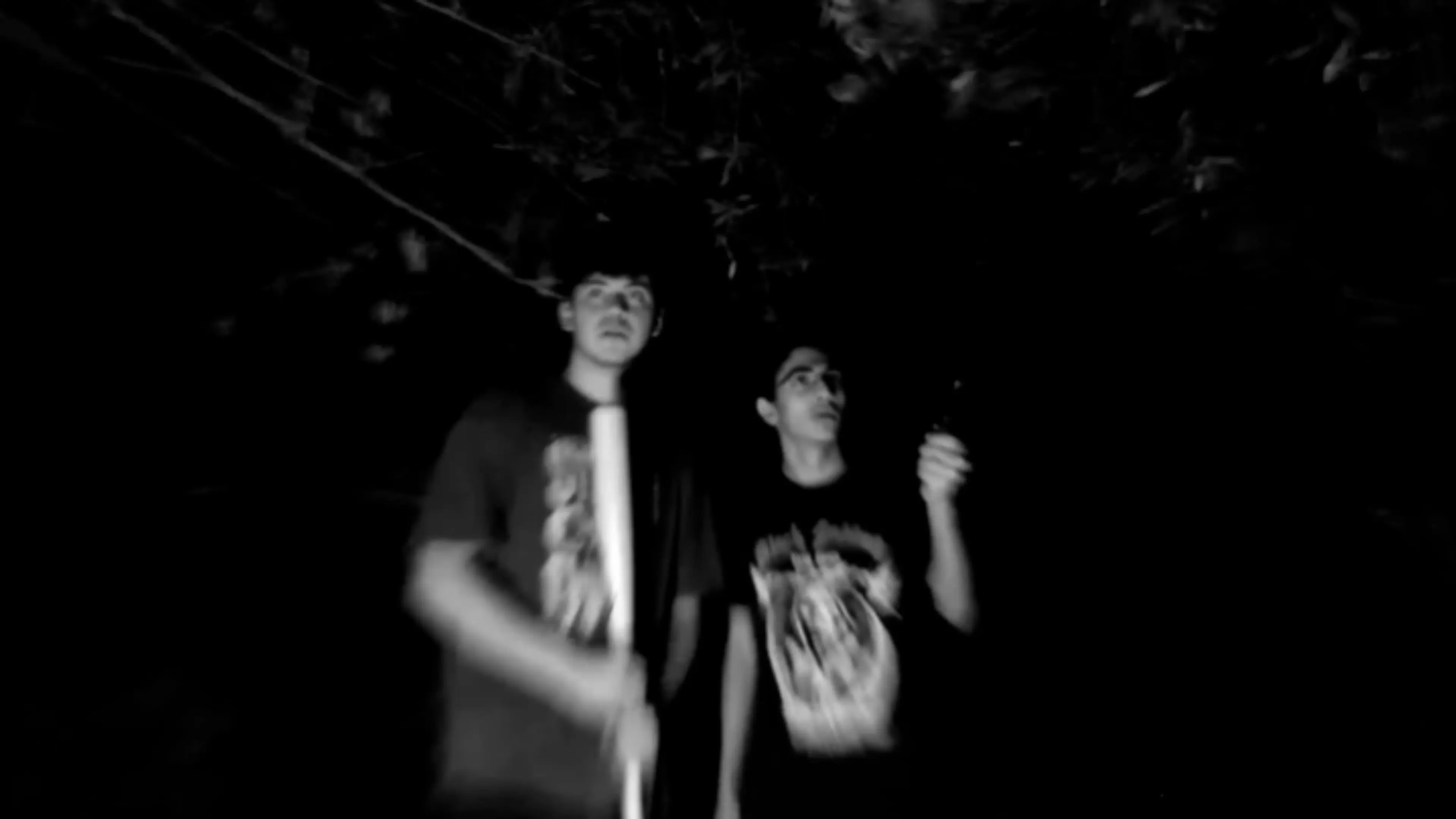The Pale Night backdrop