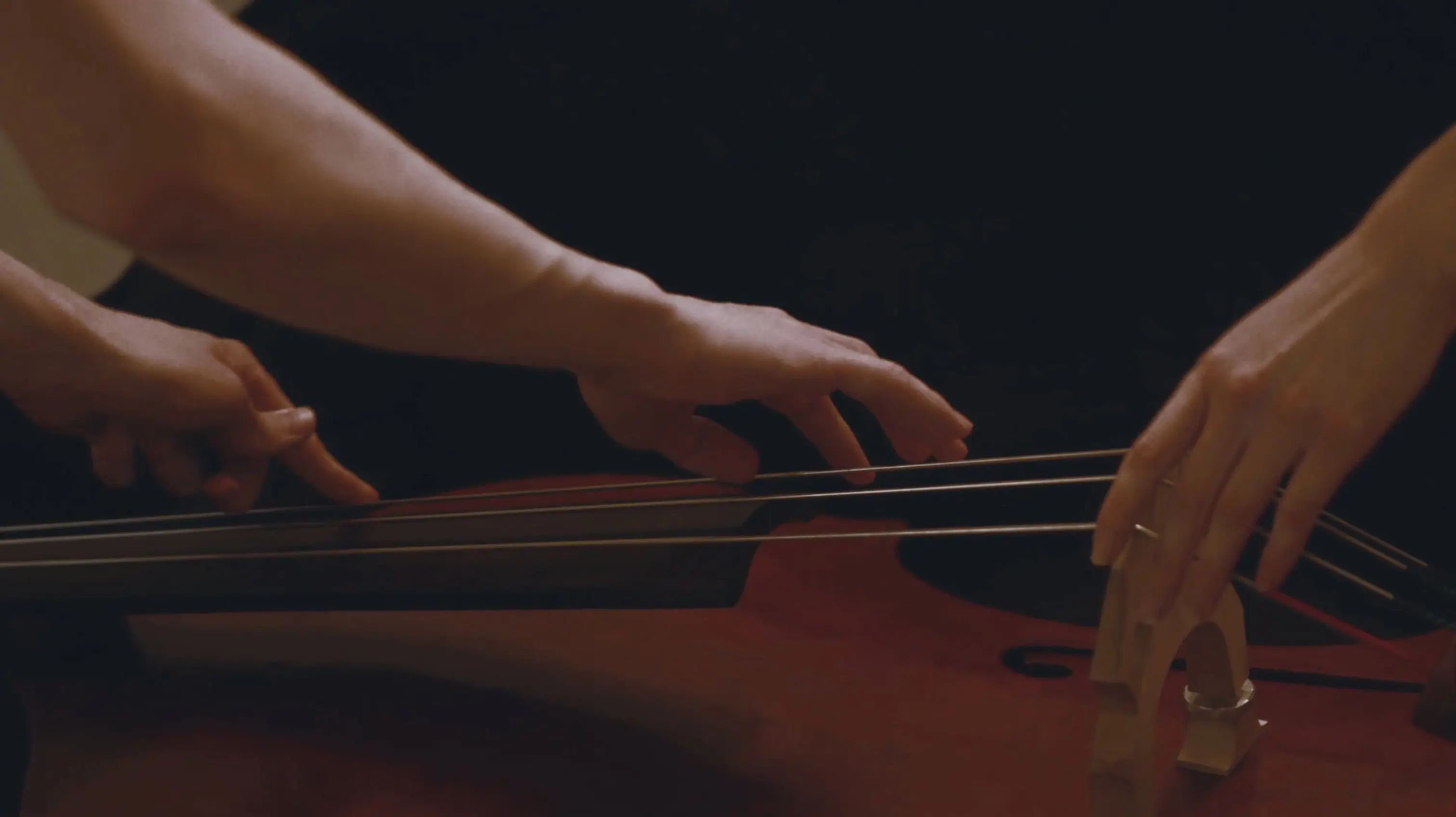 A Song For My Father backdrop