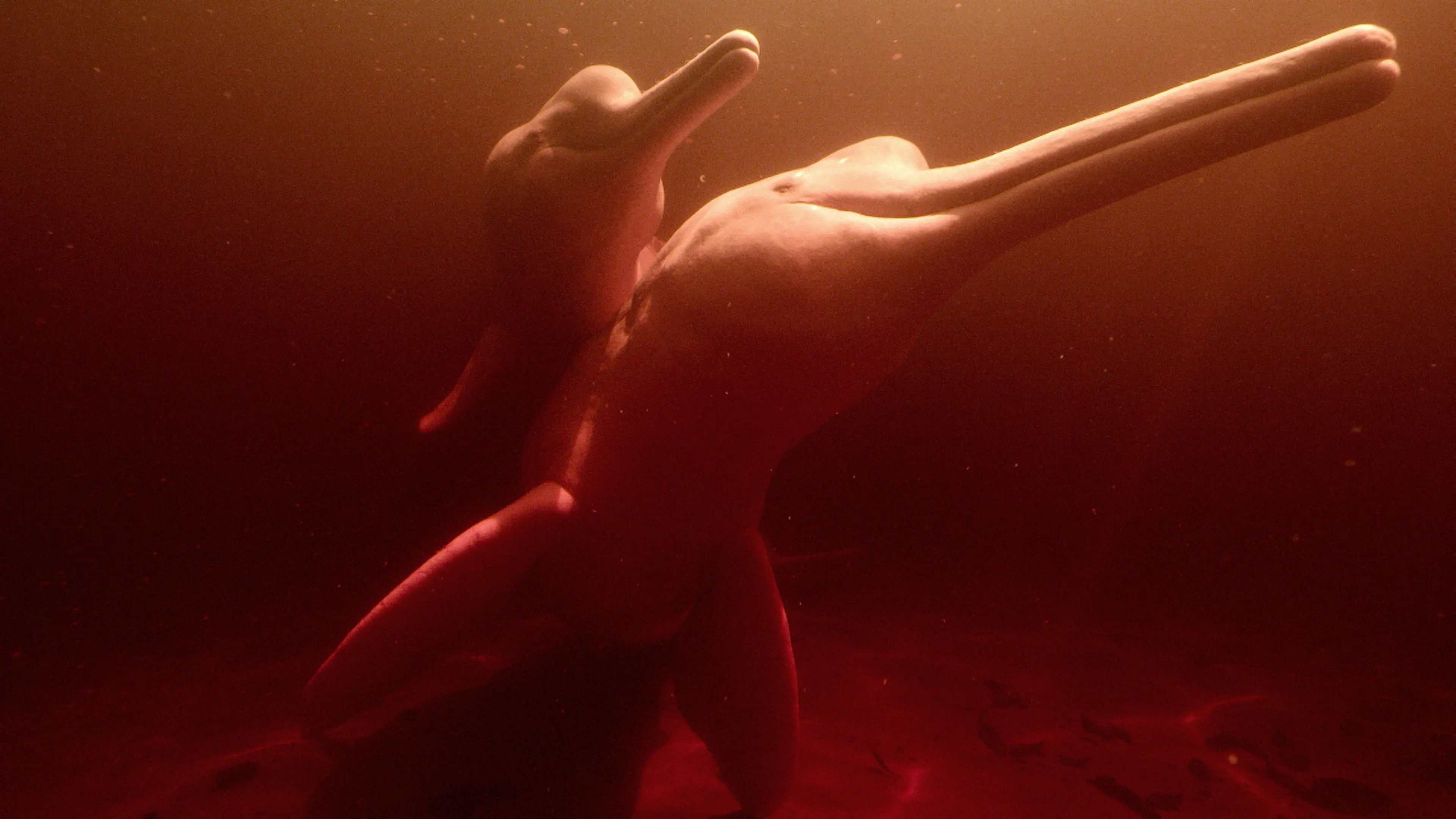 Our Water World backdrop