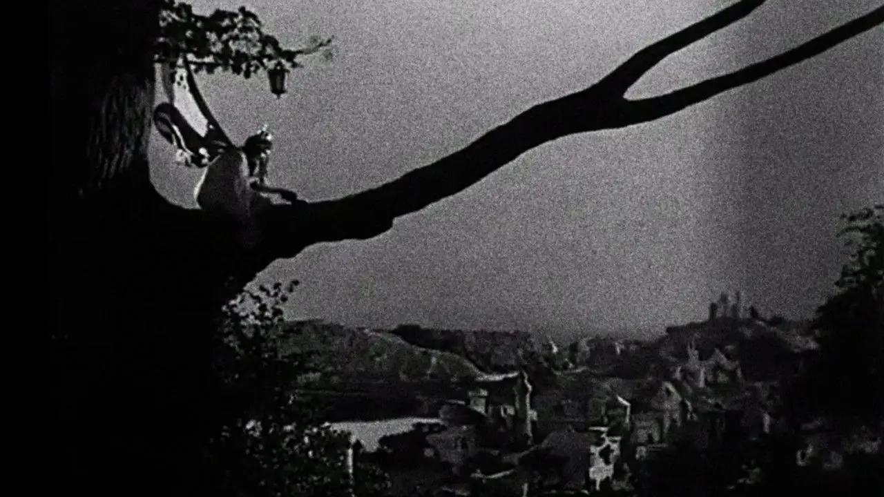 Enchantment backdrop