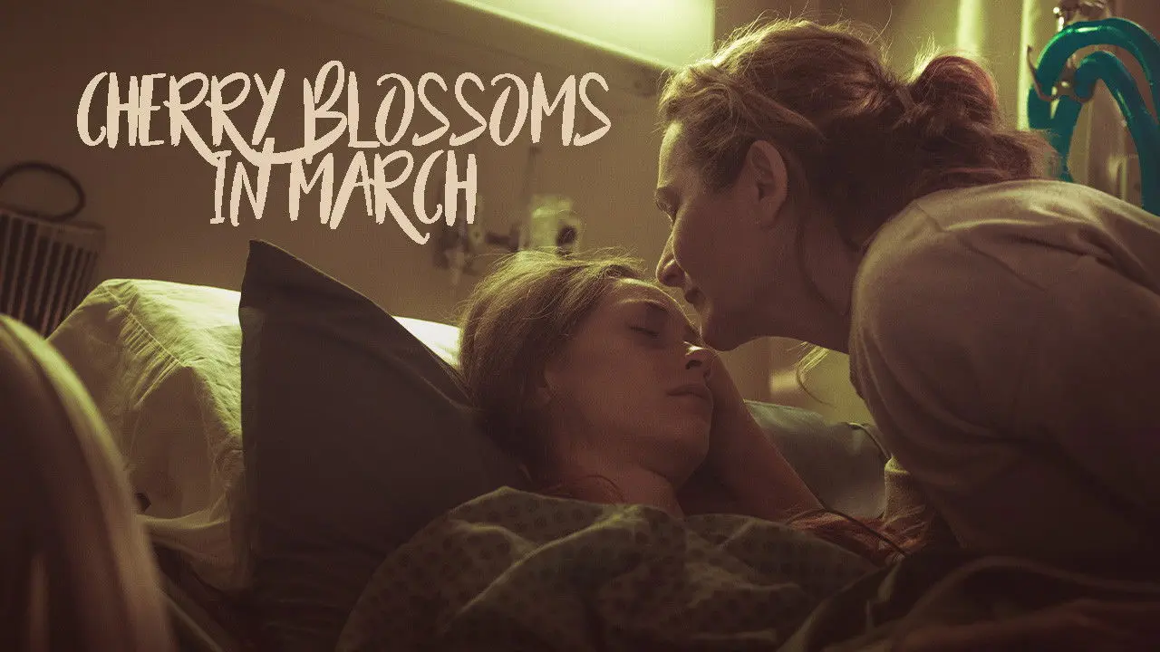 Cherry Blossoms in March backdrop