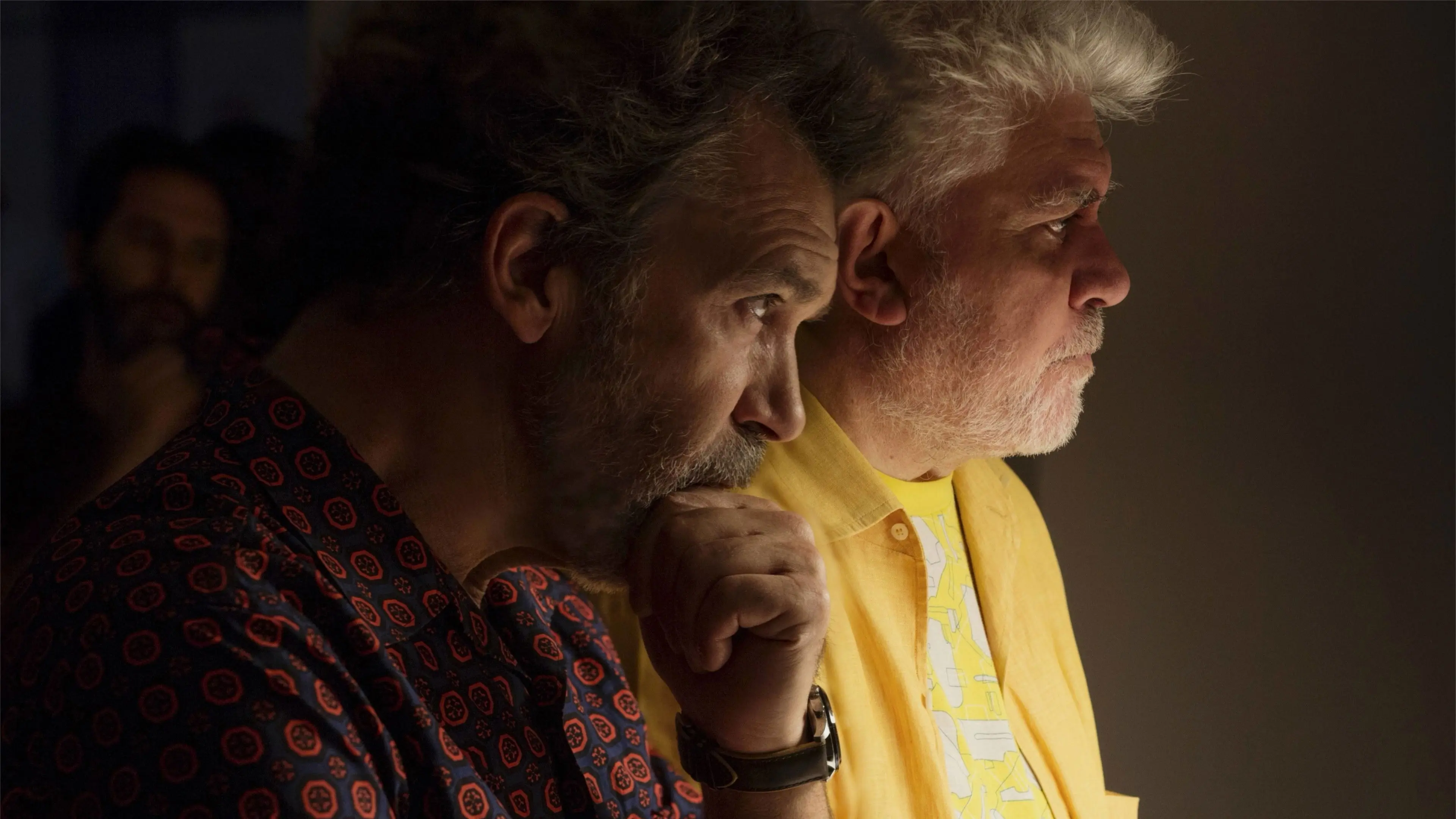 The Making of Pain and Glory backdrop