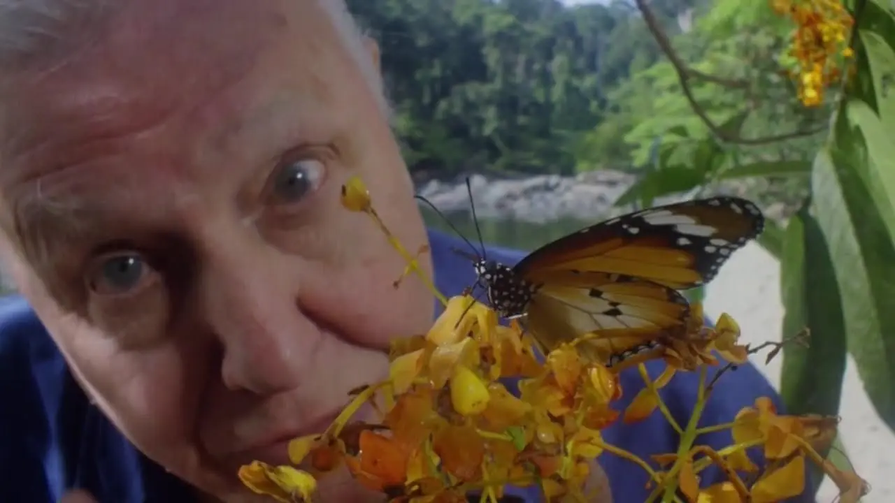 David Attenborough's Conquest of the Skies backdrop