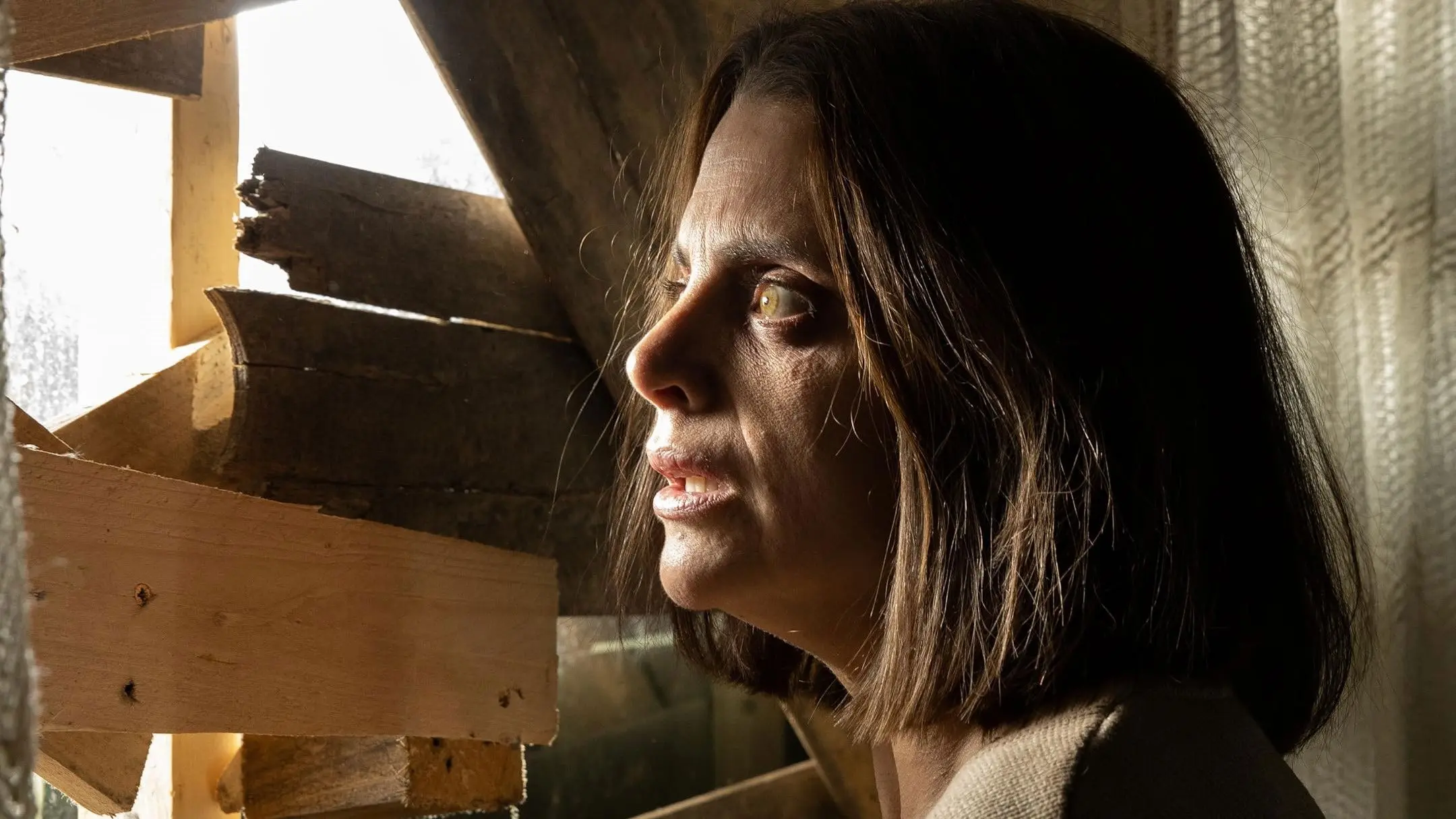 THERE'S ONLY ONE backdrop