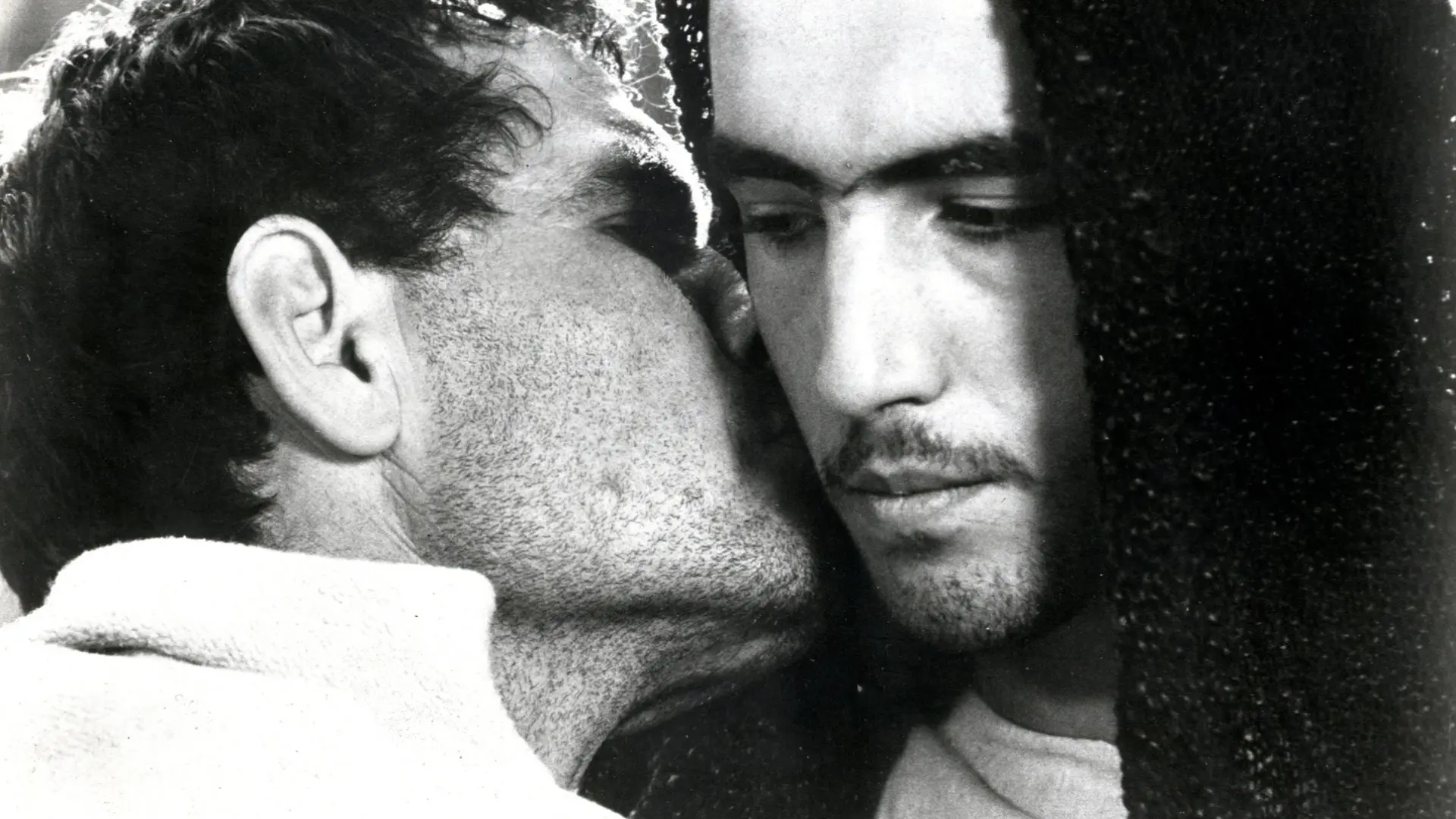 The Gospel According to St. Matthew backdrop