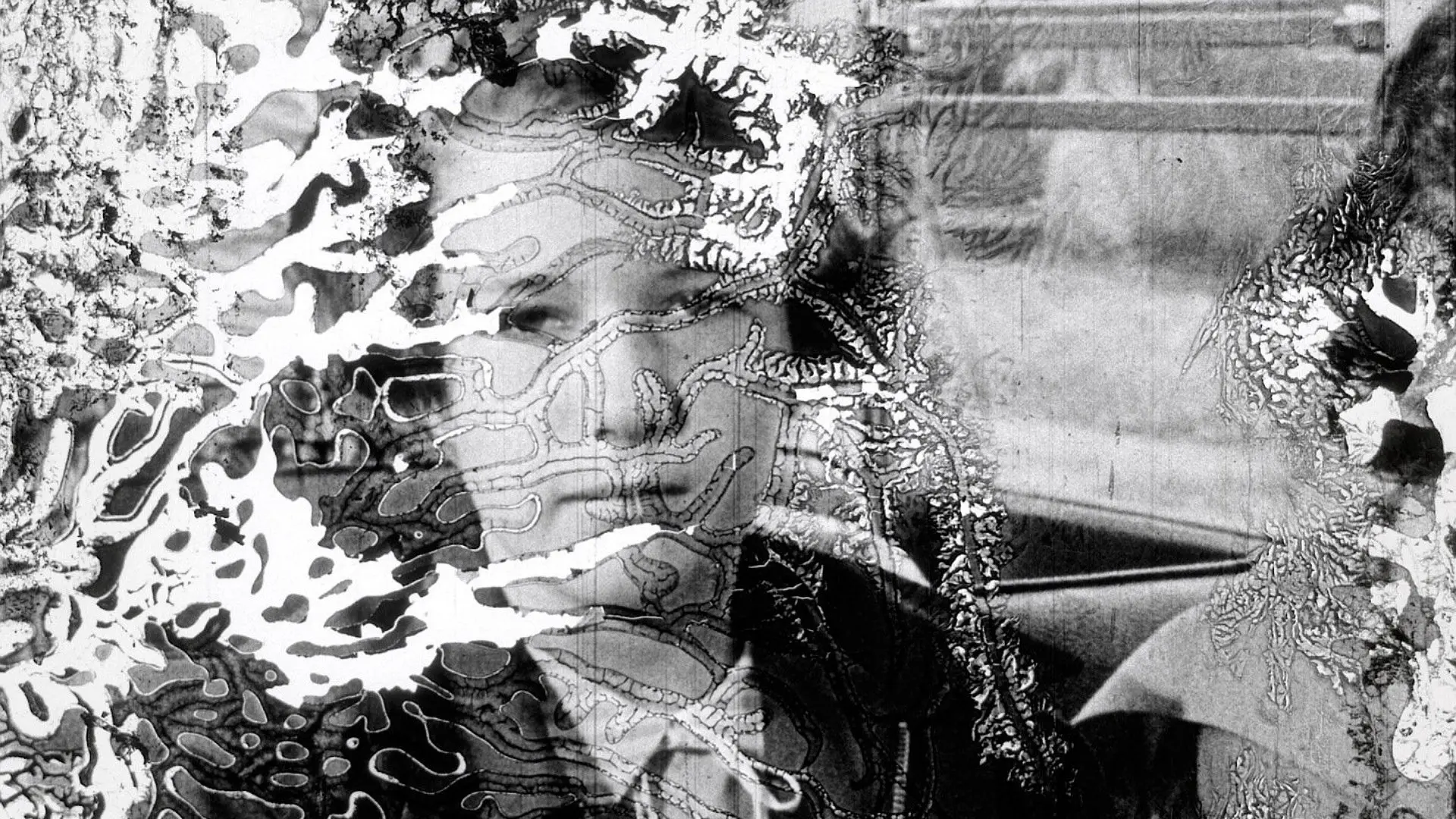 Decasia: The State of Decay backdrop