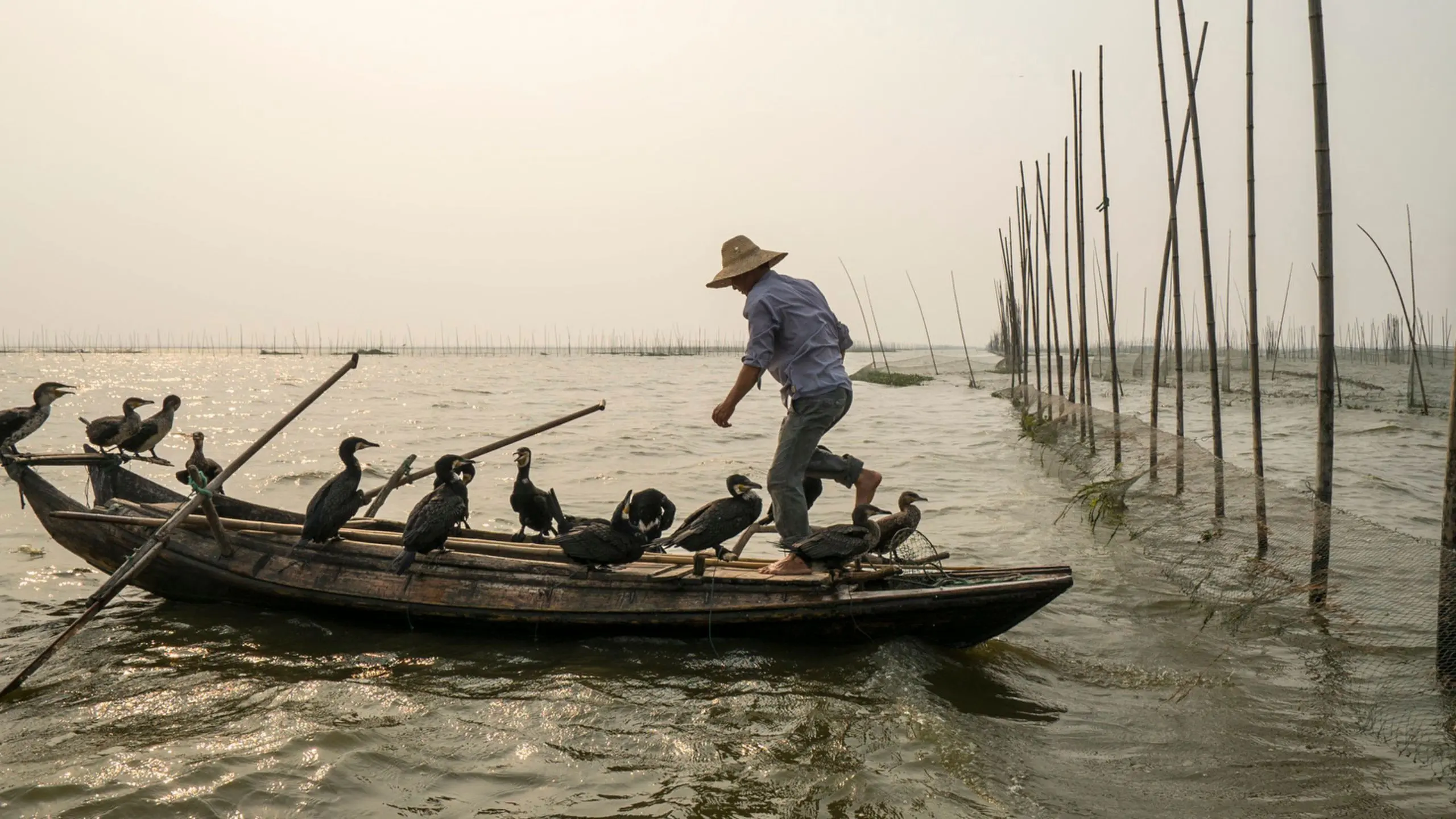 Along the Banks of the Yangtze backdrop