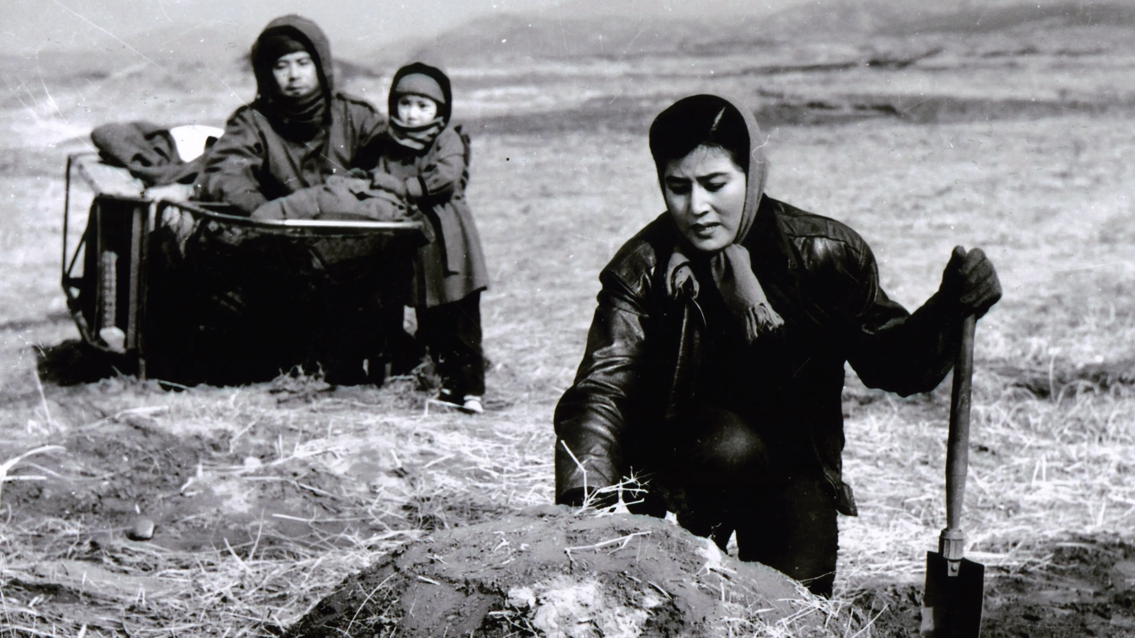 To the Last Day backdrop