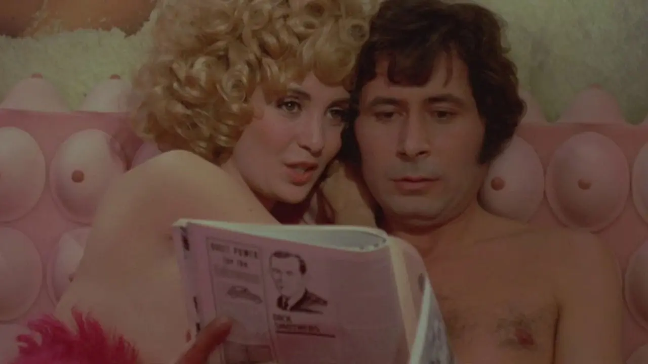 Master Cats backdrop