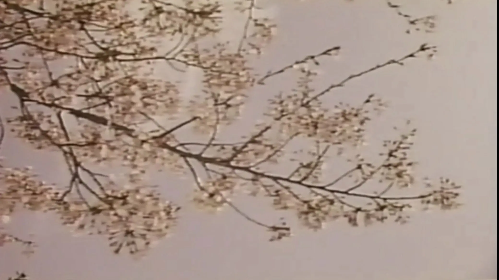 Wakaoku-sama: Futomono-biraki backdrop