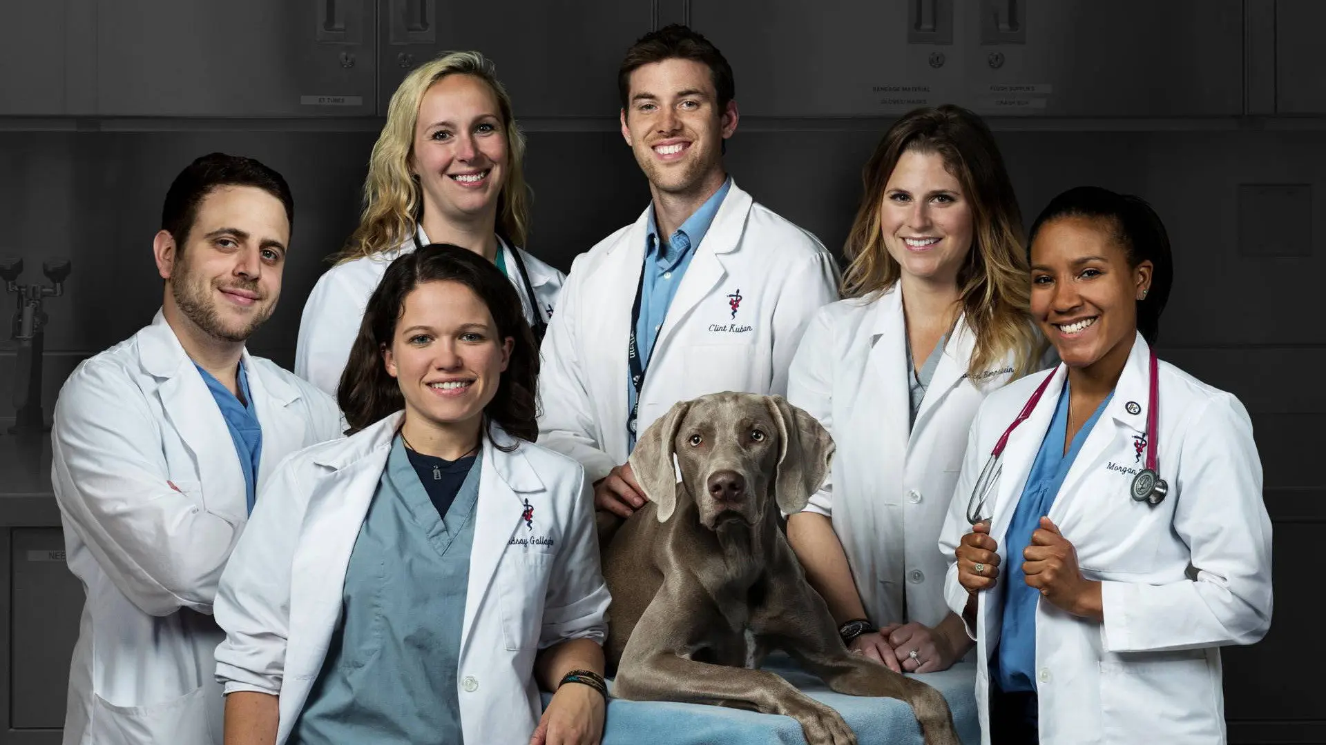 Life at Vet U backdrop