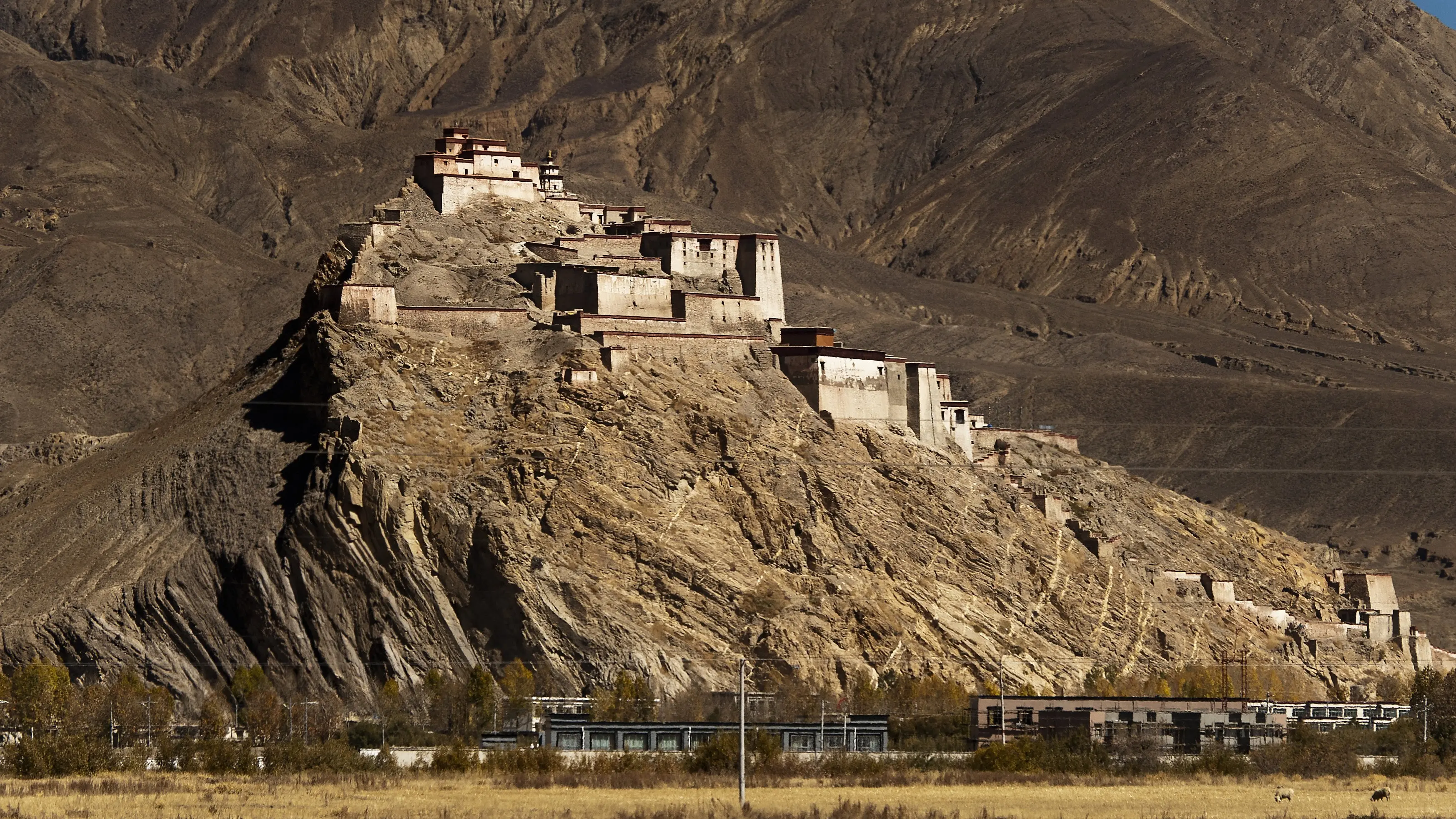 A Year in Tibet backdrop