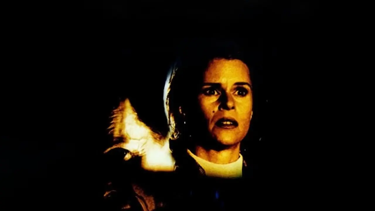 Midnight Flight backdrop