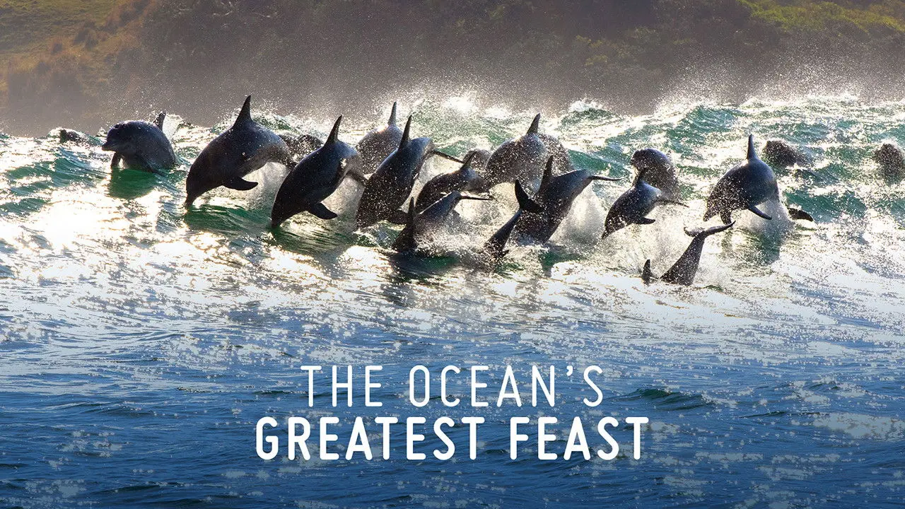 The Ocean’s Greatest Feast backdrop