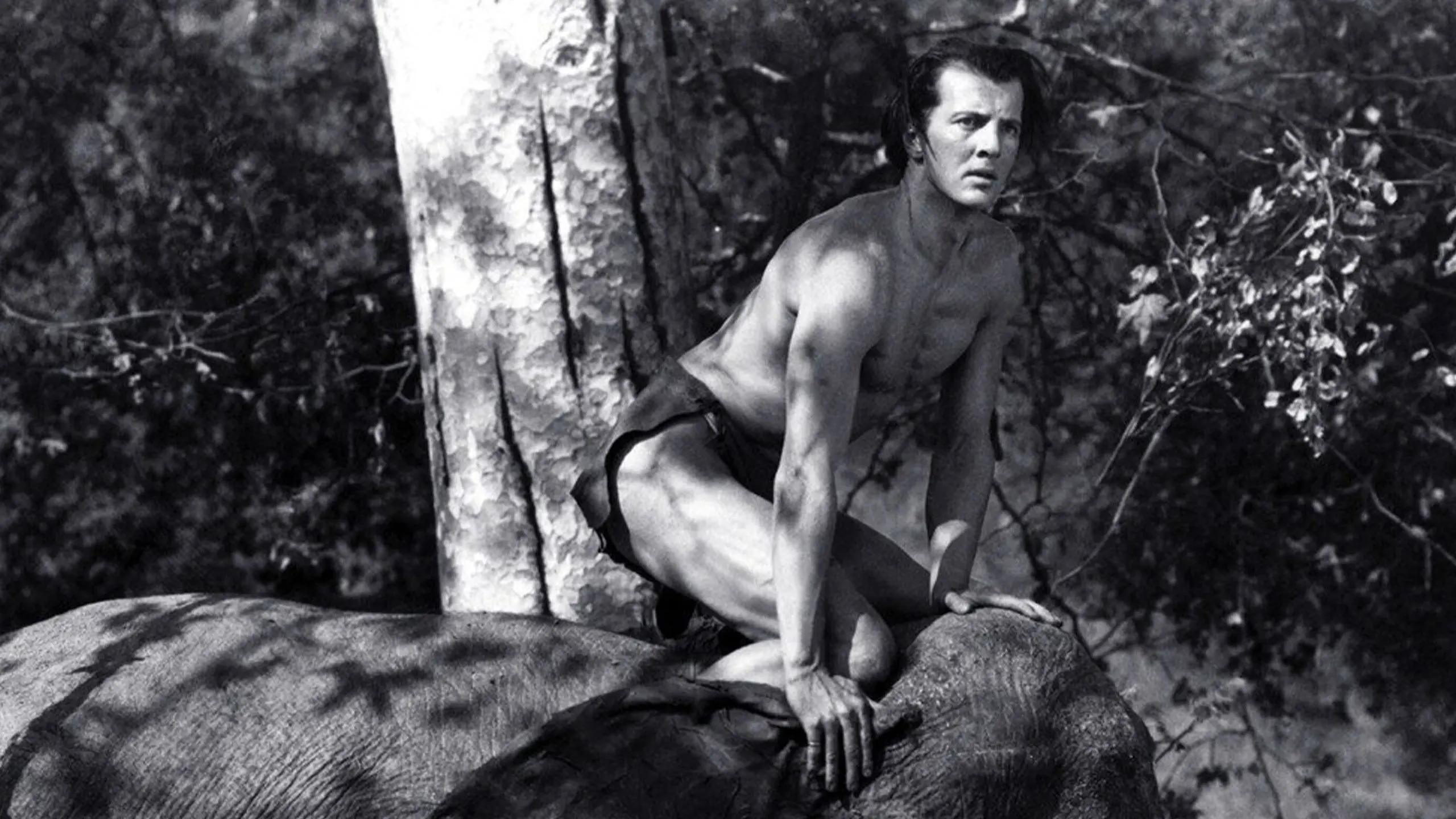 Tarzan and the Green Goddess backdrop