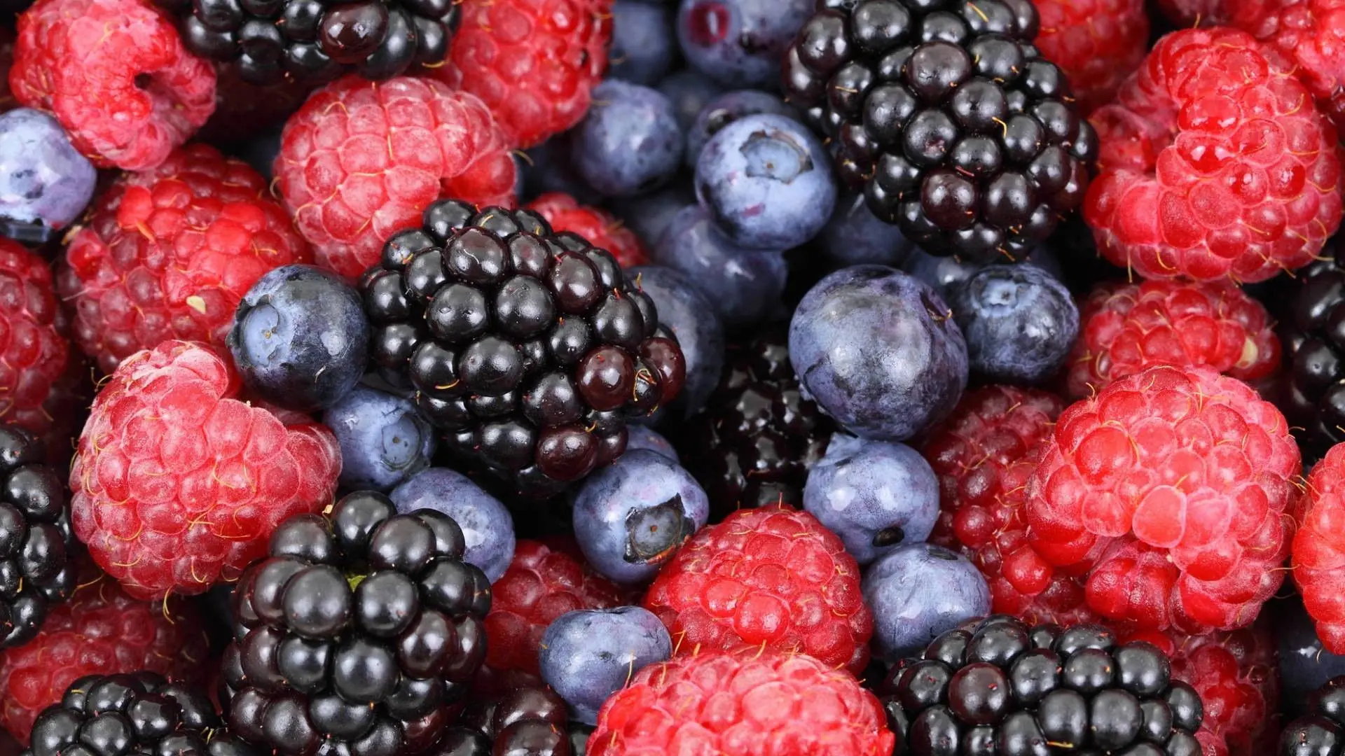 Harvesting the Land backdrop
