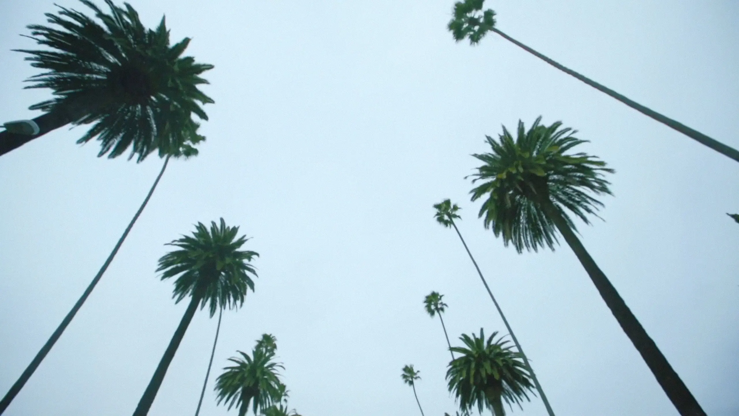 Sleepover LA backdrop