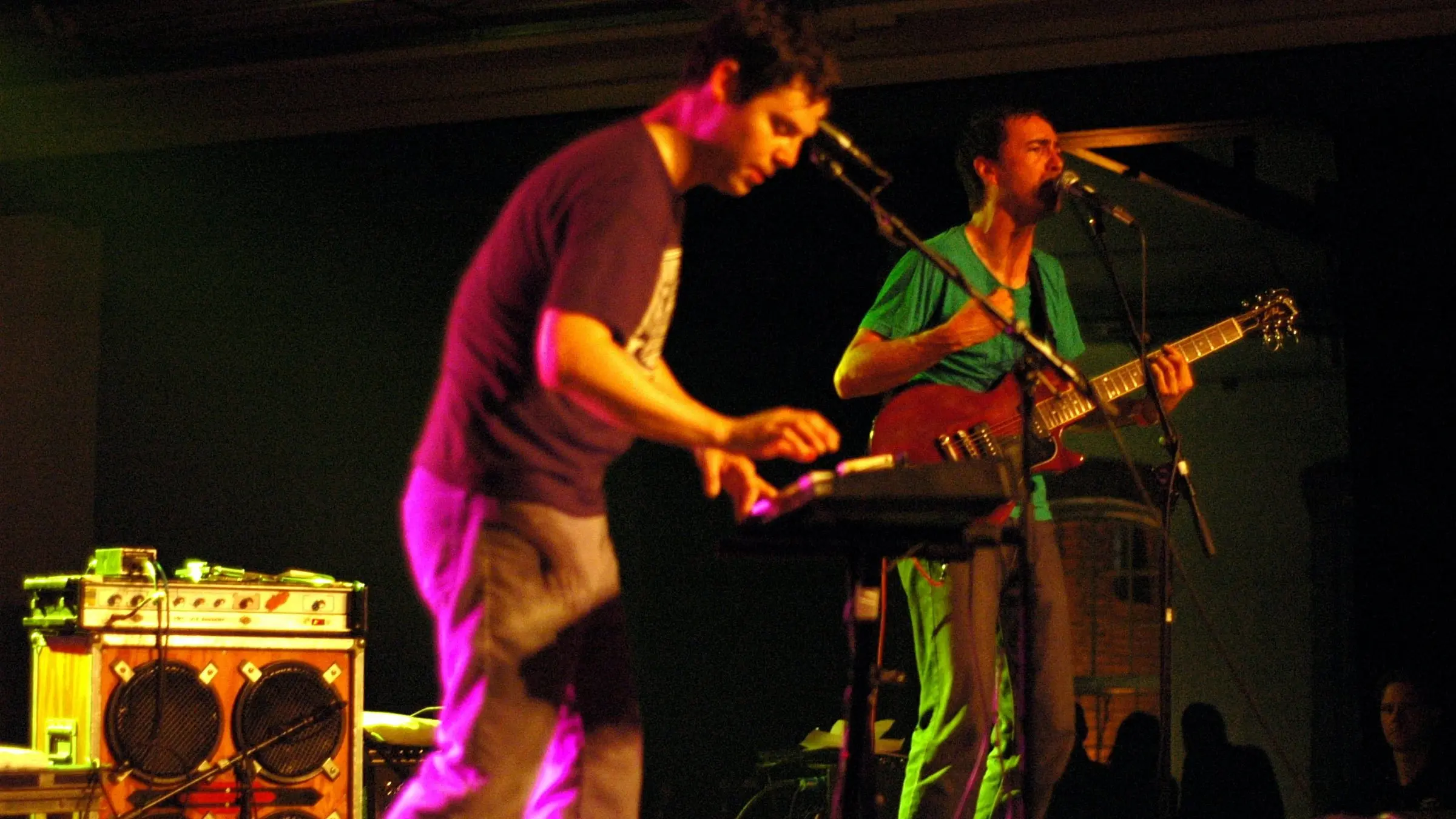 The Shins - Live at Sydney backdrop