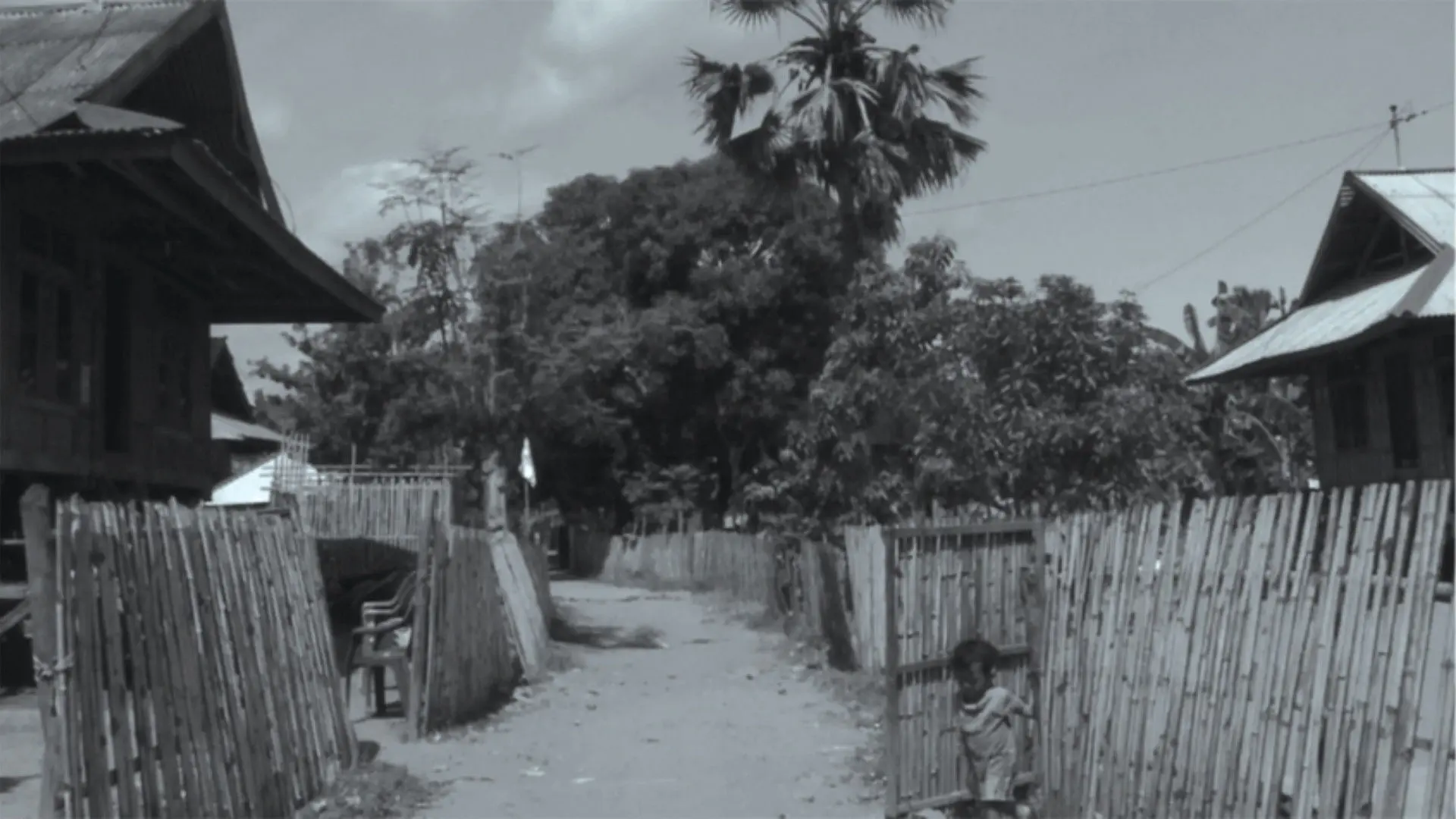 The Raging Soil backdrop